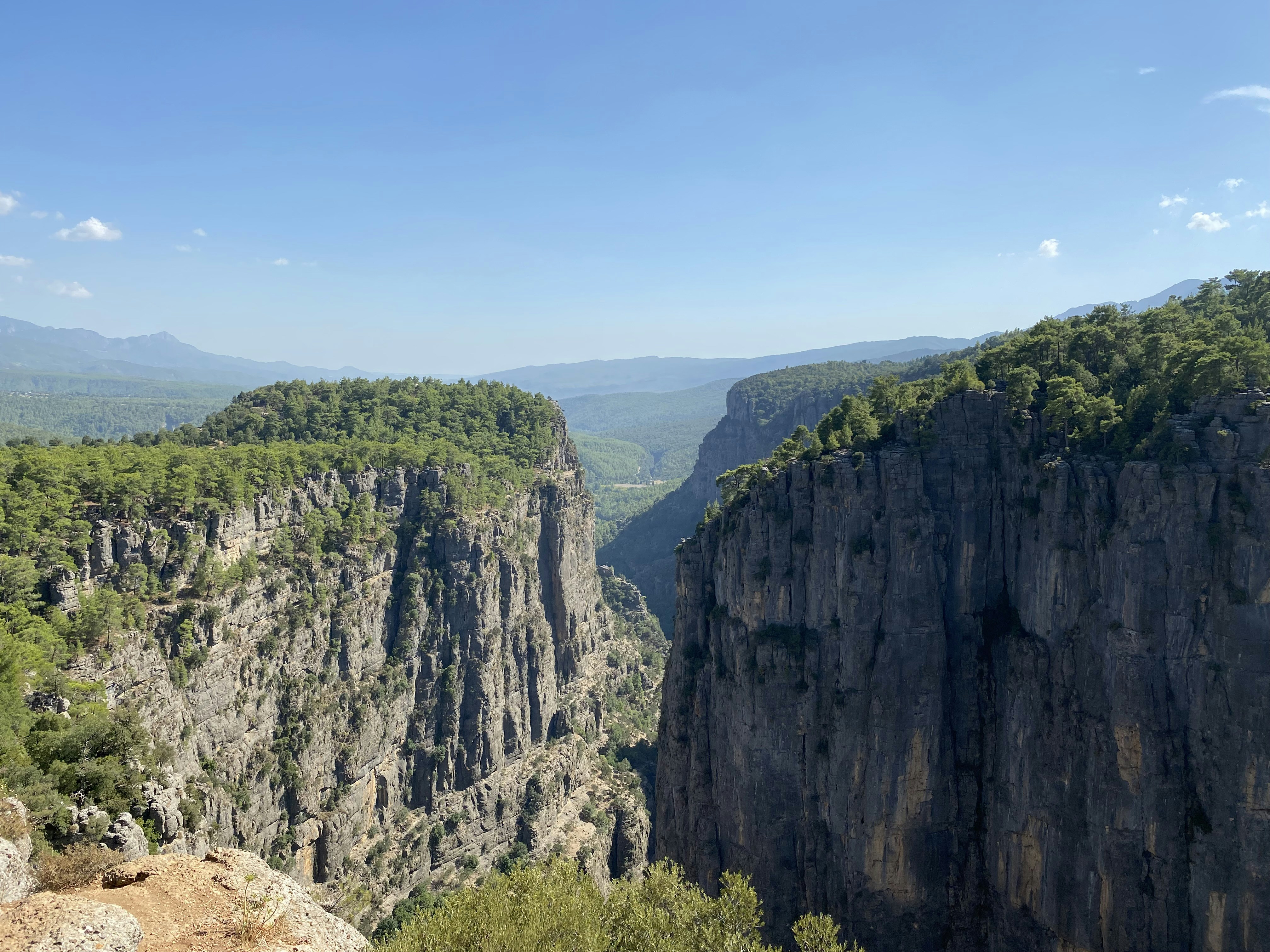 Photo by original_1st