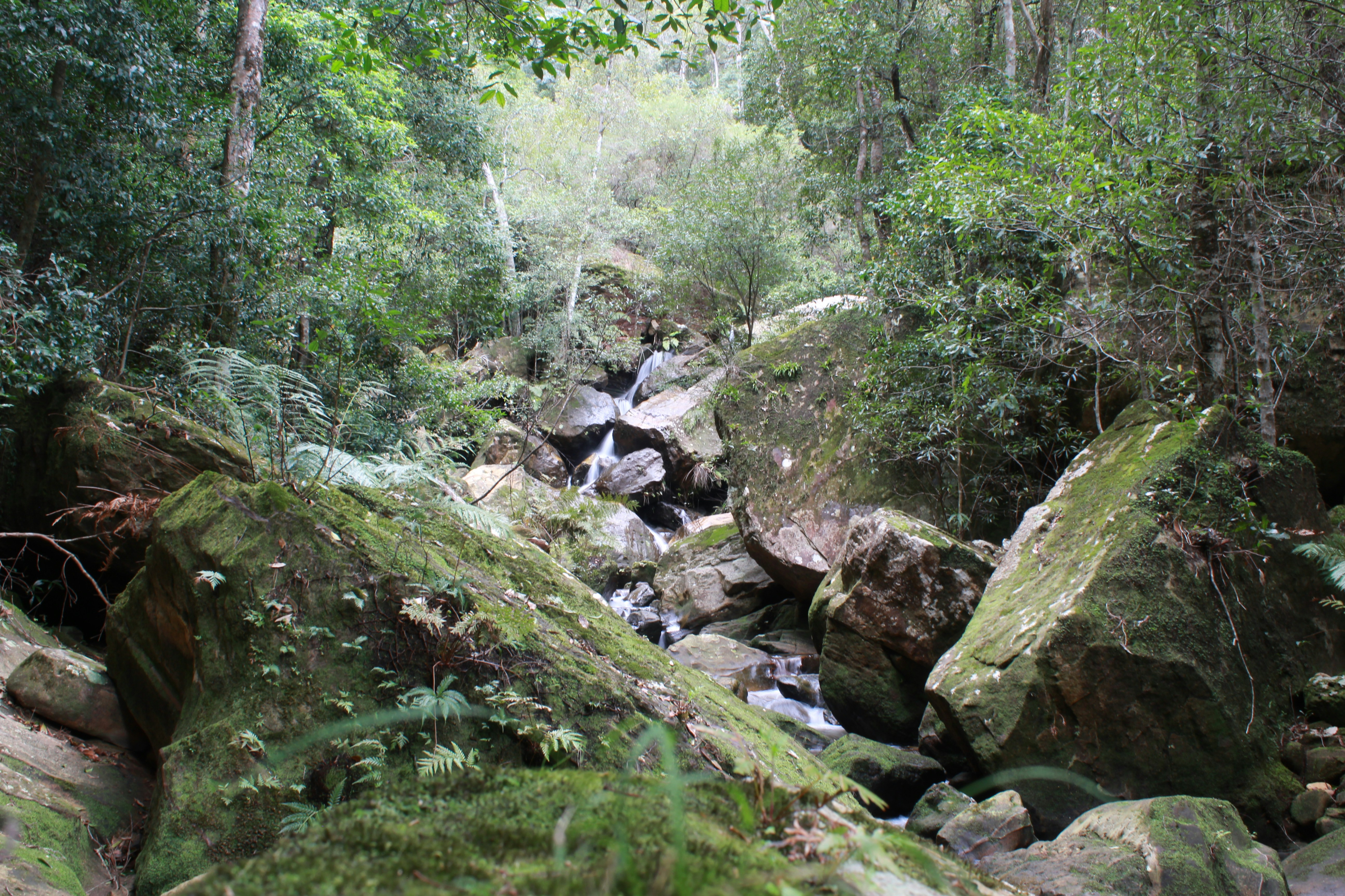 Photo by light_and_hope