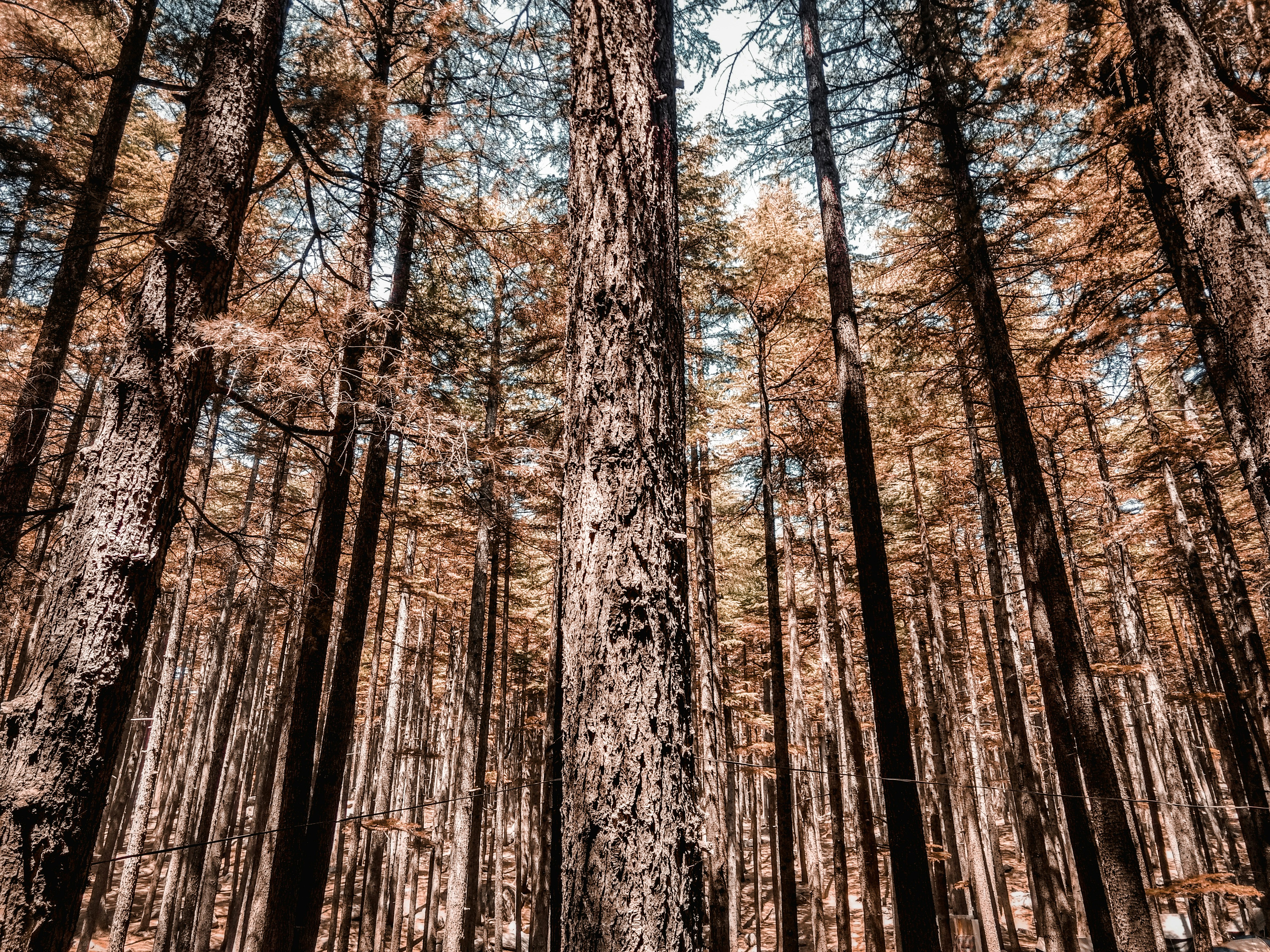 Photo by hassan_hudaibiya1