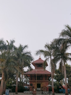 A serene view of the temple entrance framed by lush green coconut trees under a clear blue sky.