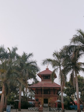 A serene view of the temple entrance framed by lush green coconut trees under a clear blue sky.
