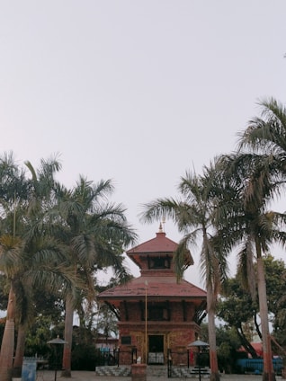 A serene Hindu temple with priests performing traditional rituals under a clear sky.