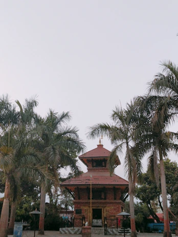A serene temple backdrop with a traditional Kerala astrologer consulting ancient palm leaf manuscripts.
