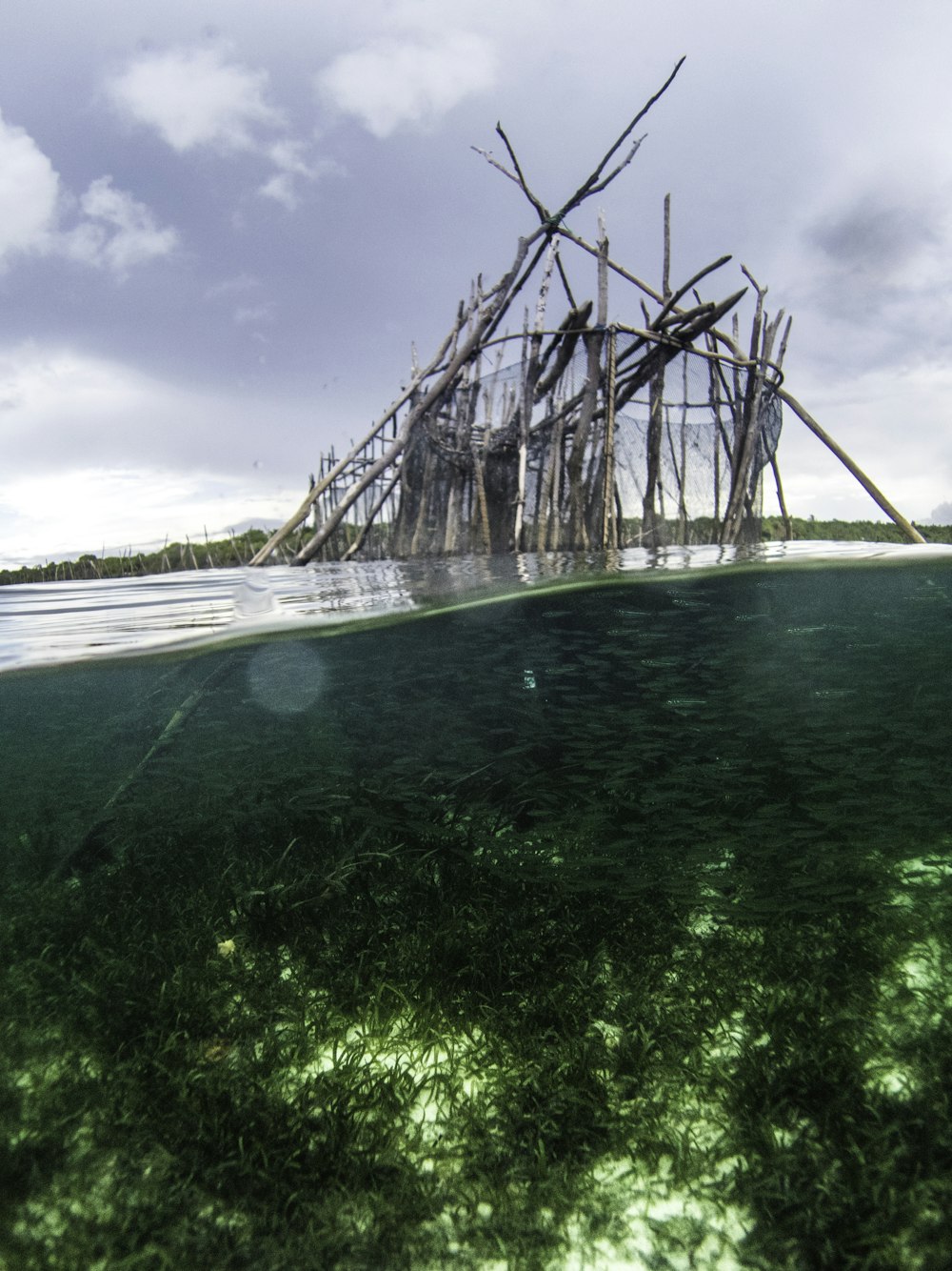 brown wooden bridge over the sea during daytime