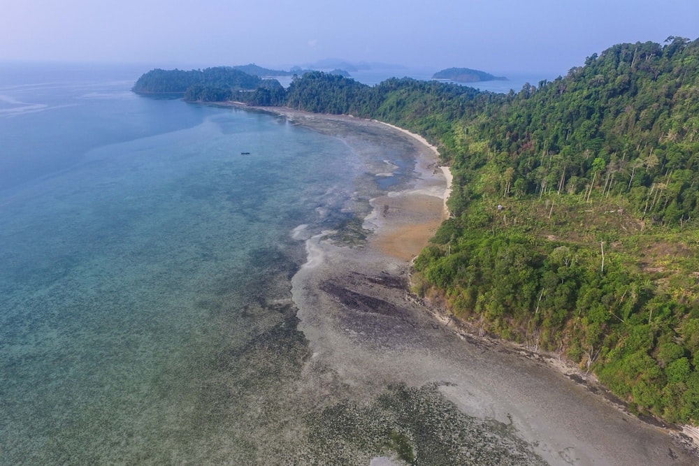 green trees beside blue sea during daytime