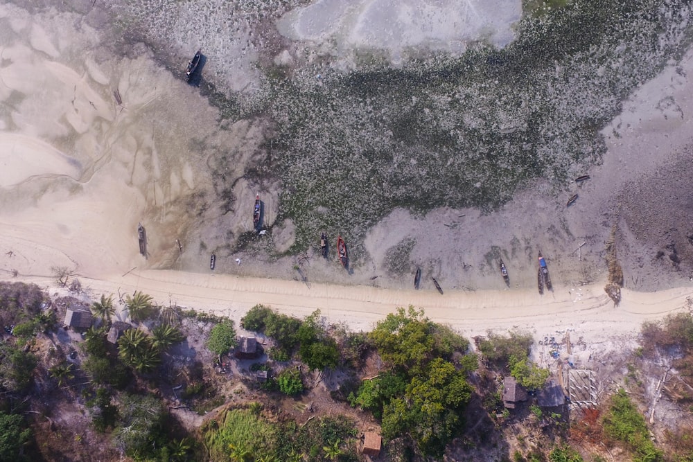 people walking on beach shore during daytime