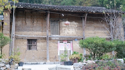 A rustic house made of clay and wood with visible cracks on its walls. The roof is made of dark tiles and a red lantern hangs near the entrance. The surrounding area is filled with various potted plants and shrubs. A bare tree stands on the right side, and there is a small window with metal bars.