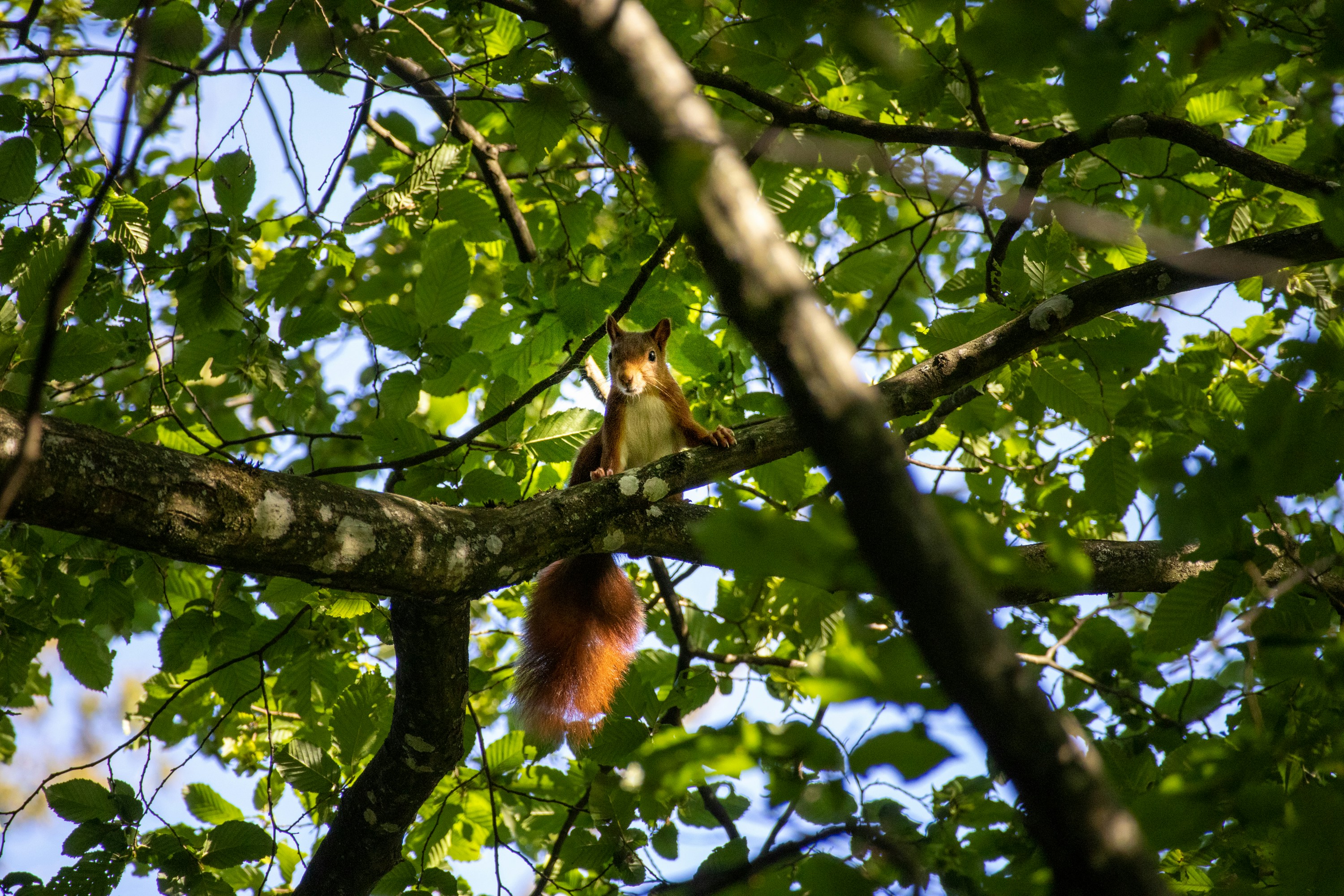 Photo by amandine_bataille_photo