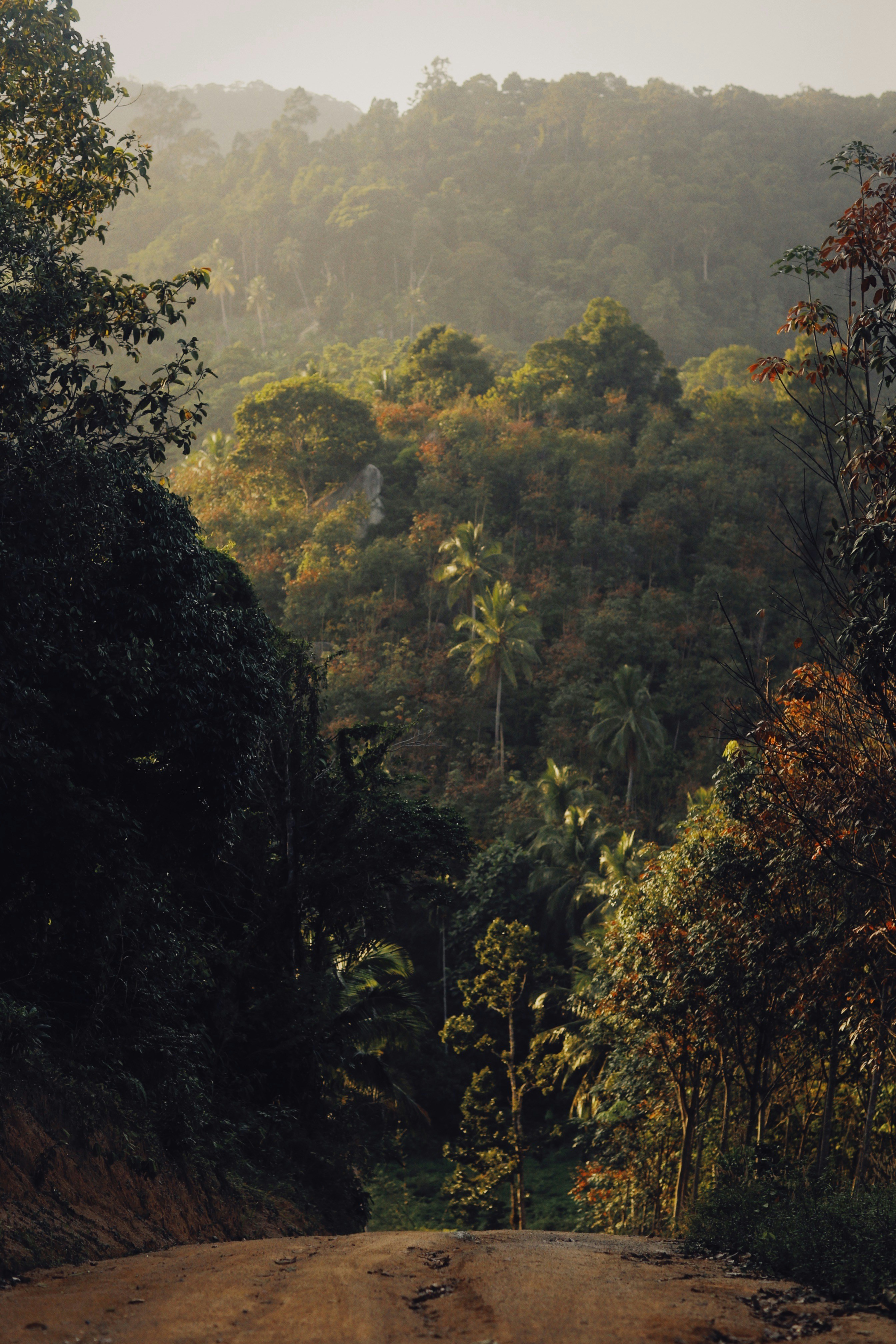 Photo by alexeydemidov