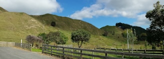 A rural landscape featuring rolling green hills under a partly cloudy blue sky. Wooden fences line a path, and there are scattered trees and shrubs throughout the scene. A sense of open space and natural beauty dominates the view.