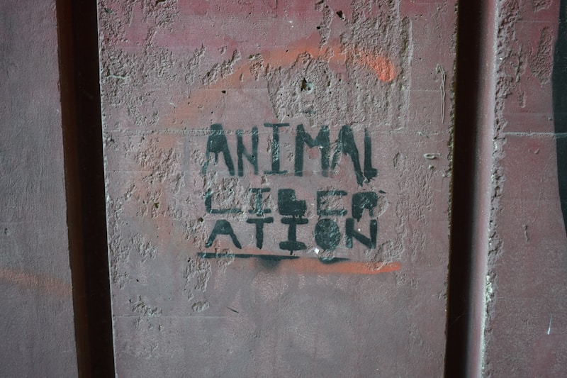 Antiquarian