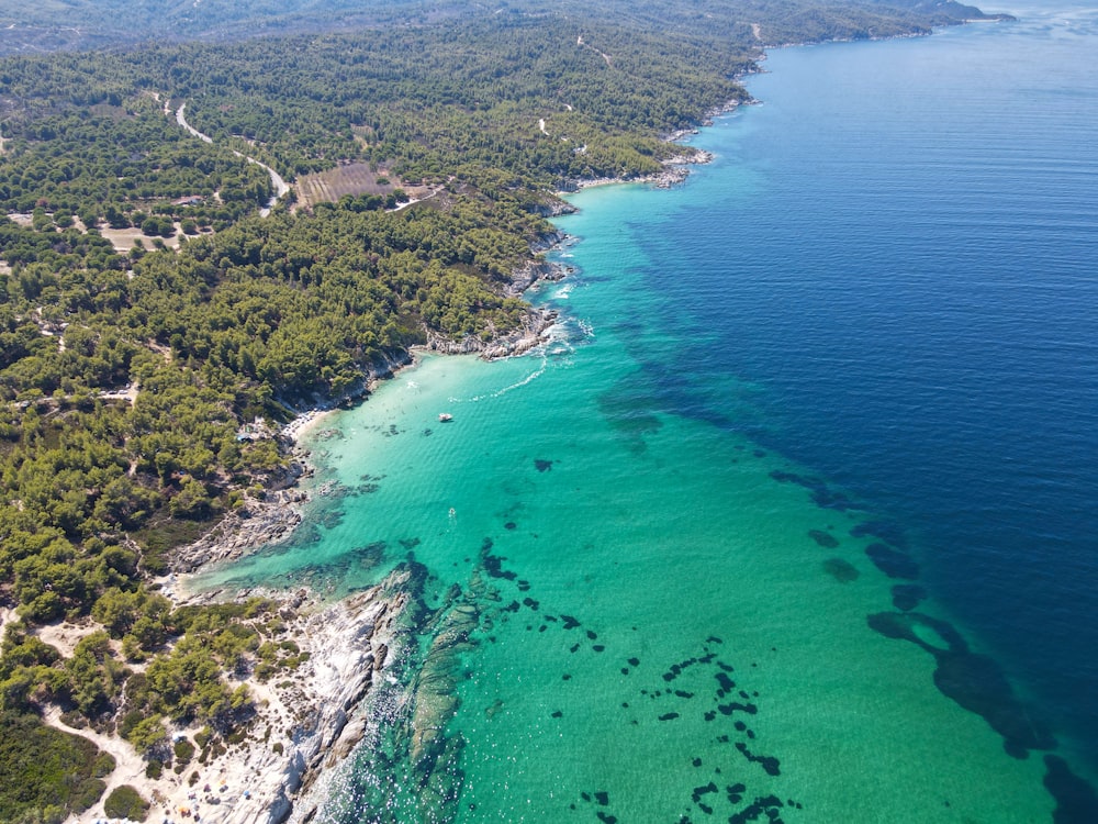 an aerial view of a beach and a body of water