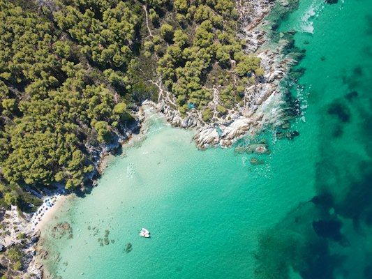 Aerial view of green trees beside body of water during daytime — Halkidiki, Greece