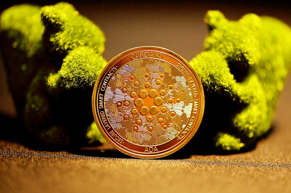 gold round coin on brown textile