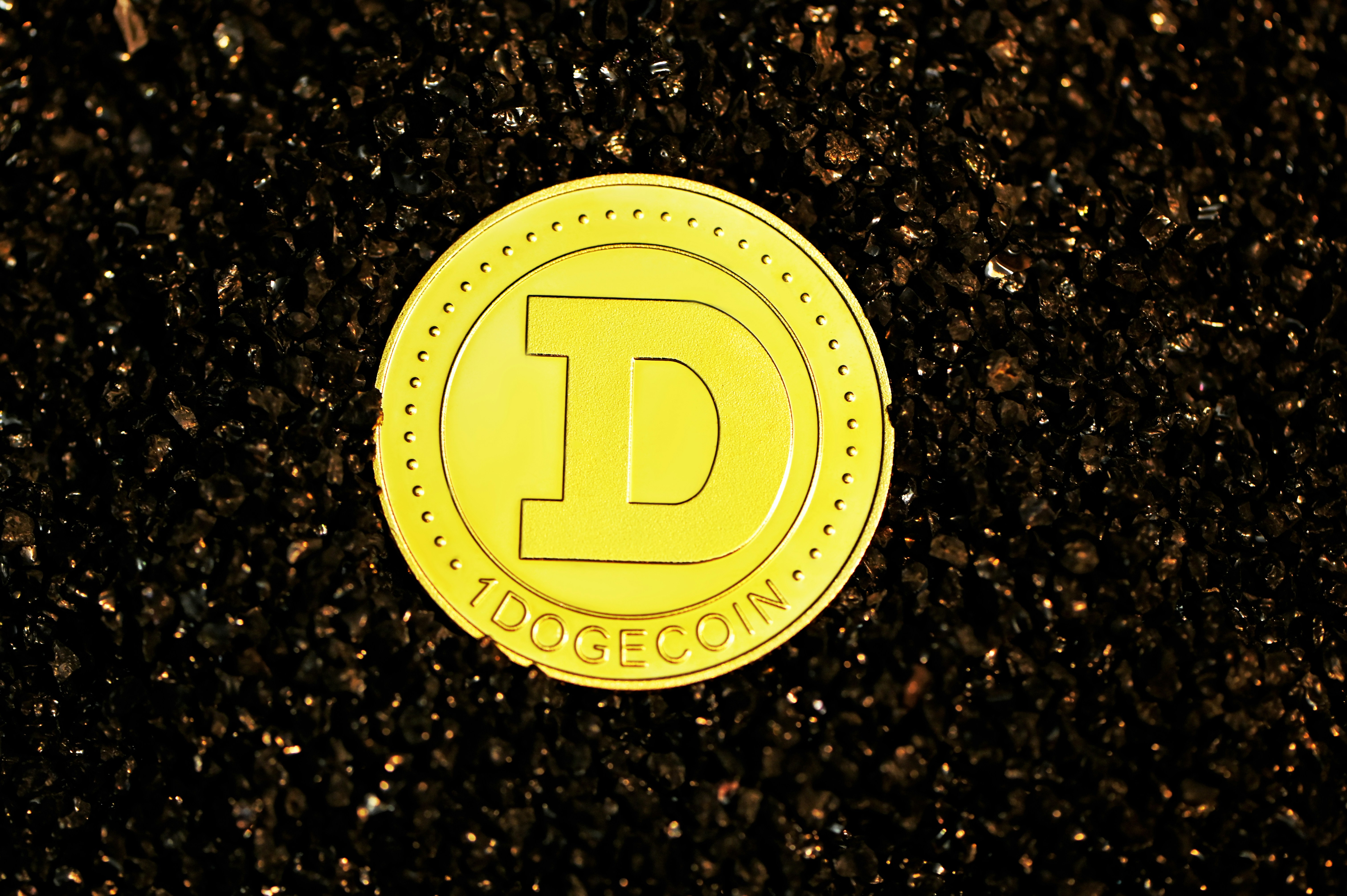 A dogecoin on top of the black crystals