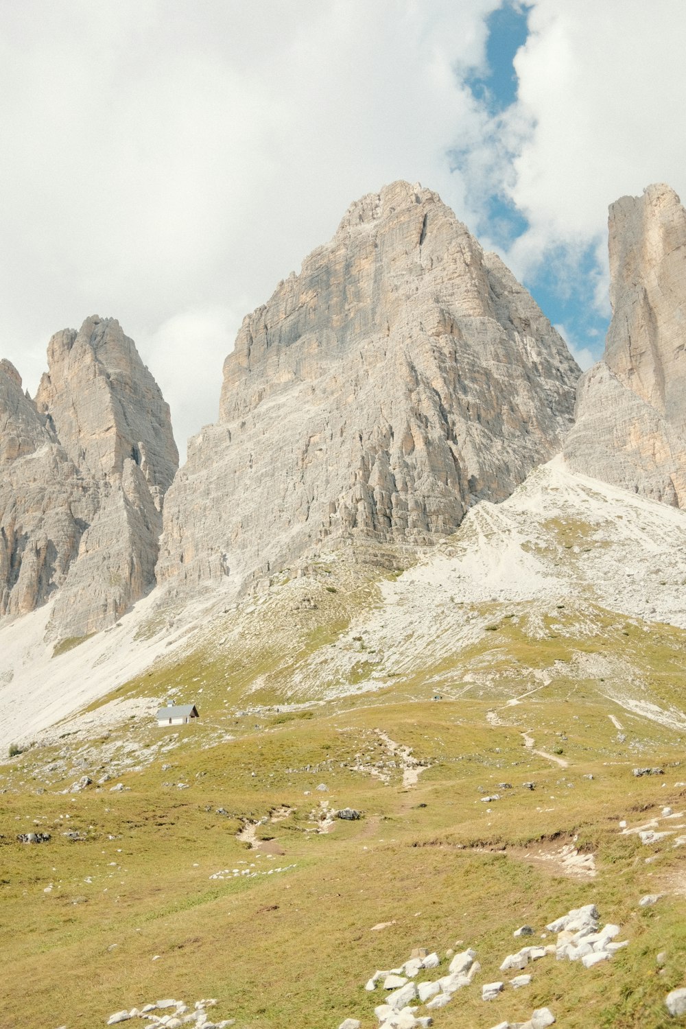 un champ herbeux avec une montagne en arrière-plan