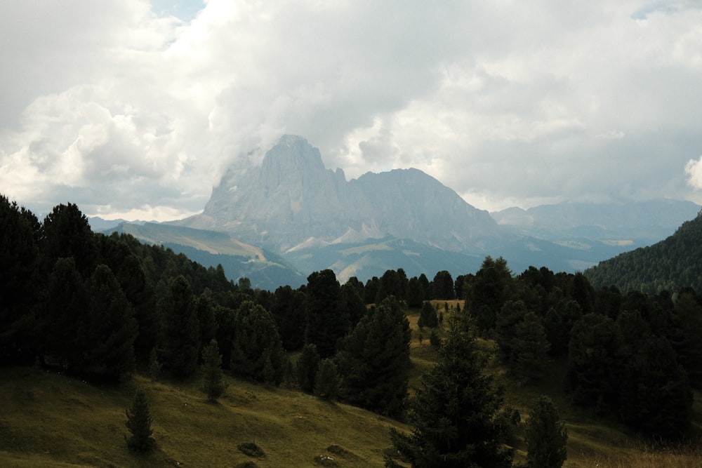 a view of a mountain range with trees in the foreground