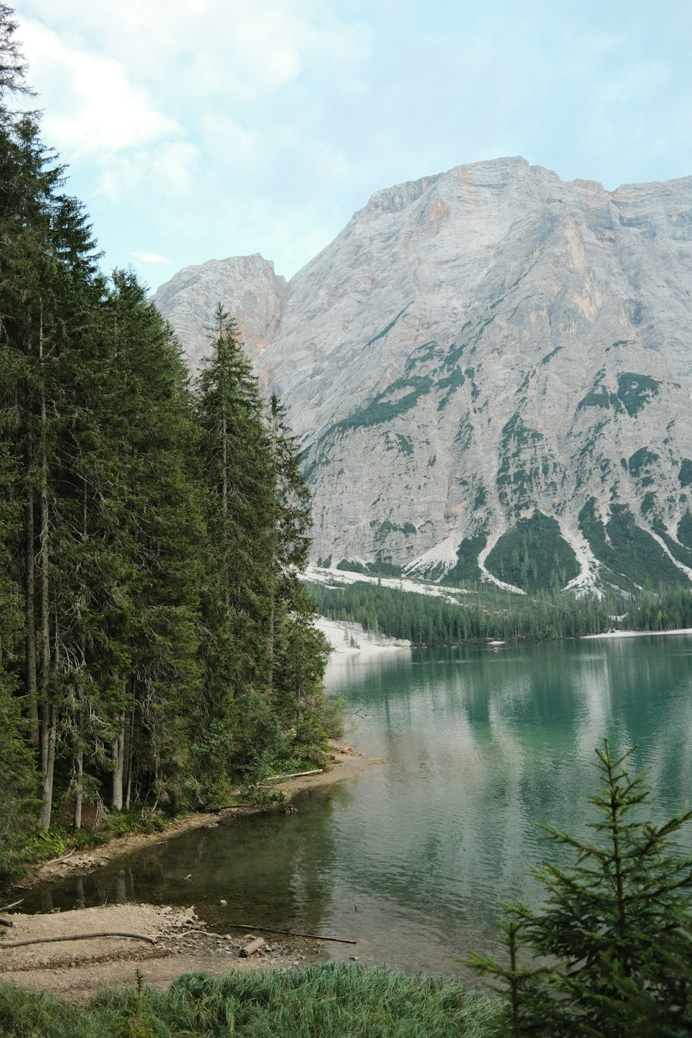 green trees near lake and mountain during daytime