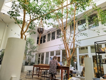 A spacious indoor area with a high ceiling and large windows, featuring several tall trees with green foliage. A person is seated at a long wooden table, working on a laptop. Various stools surround the table, and the space is decorated with string lights and hanging baskets. The atmosphere combines elements of nature and modern design.
