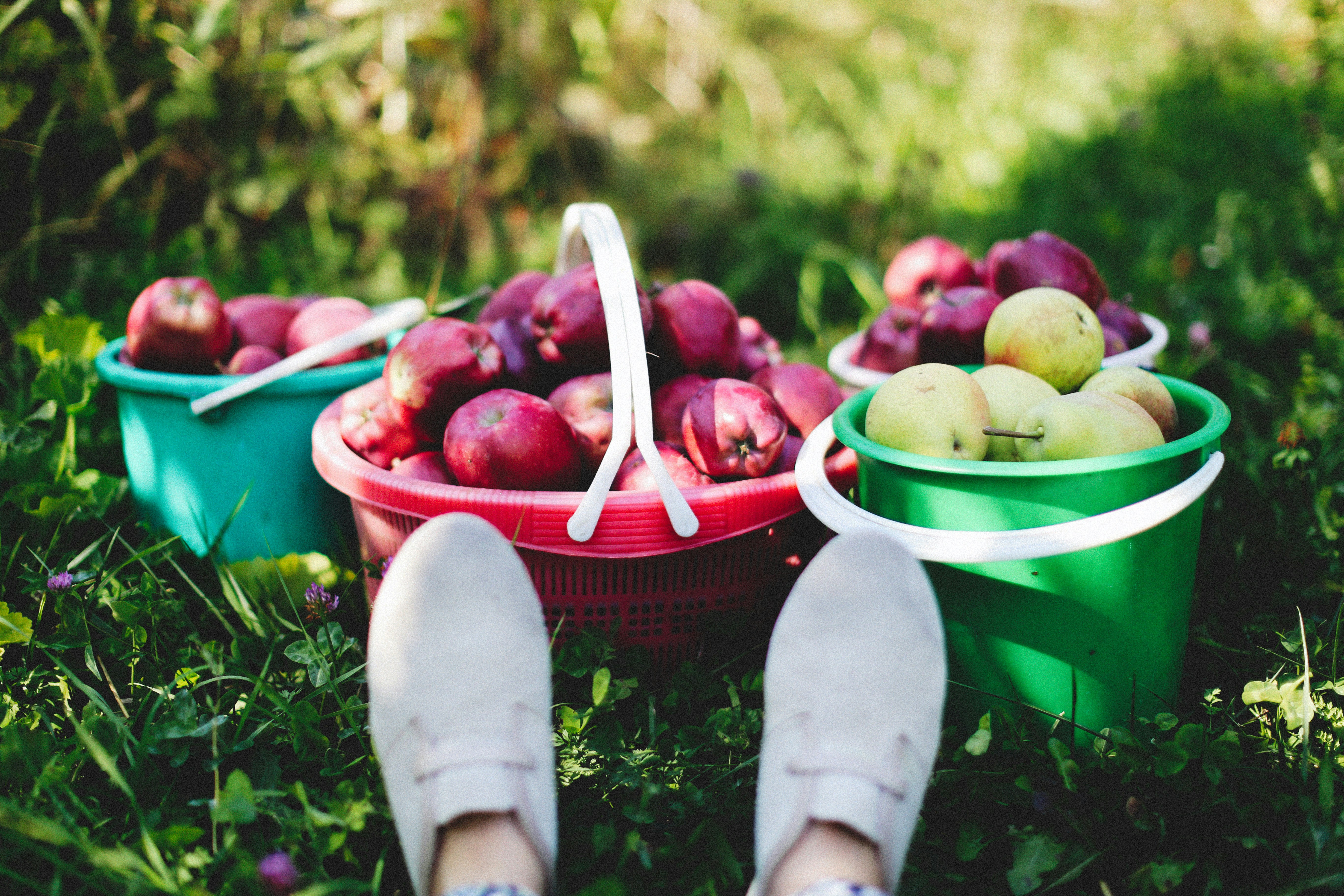 Photo by alexeydemidov