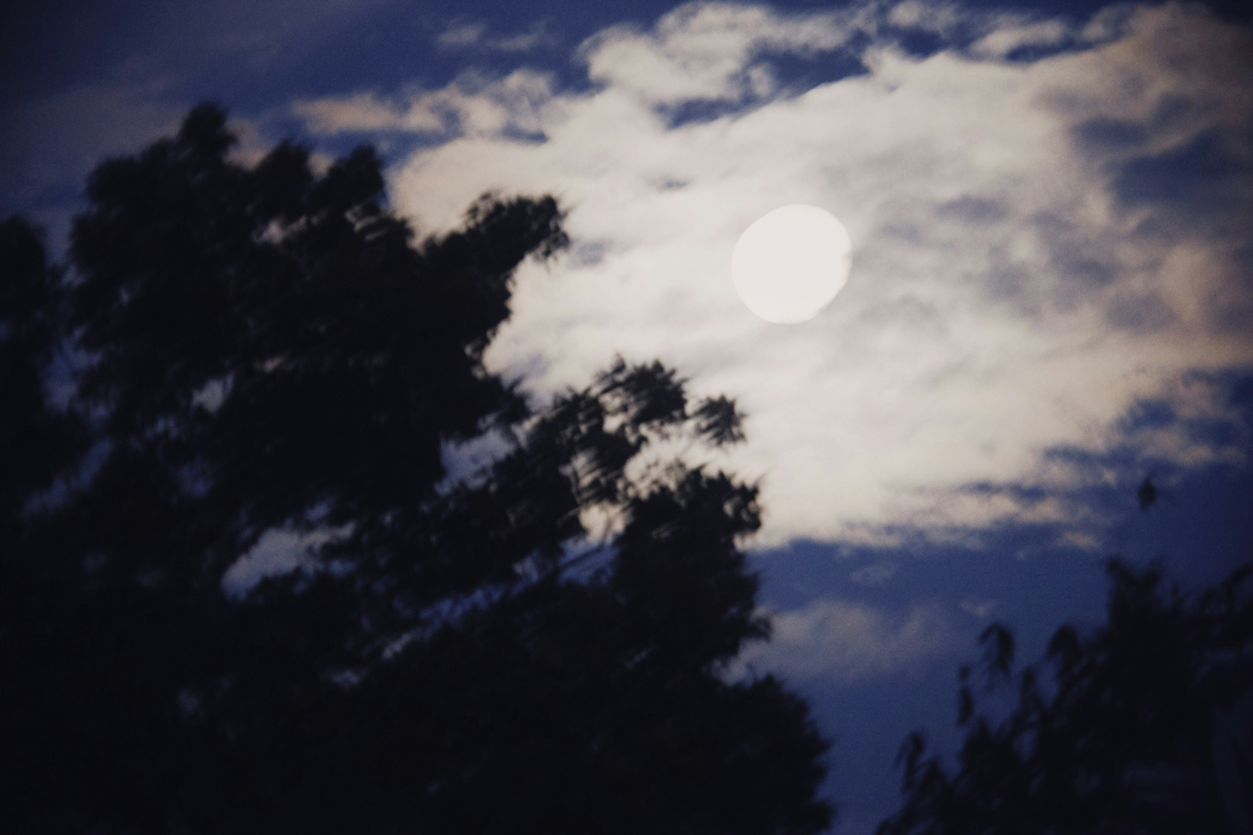 Photo by alexeydemidov