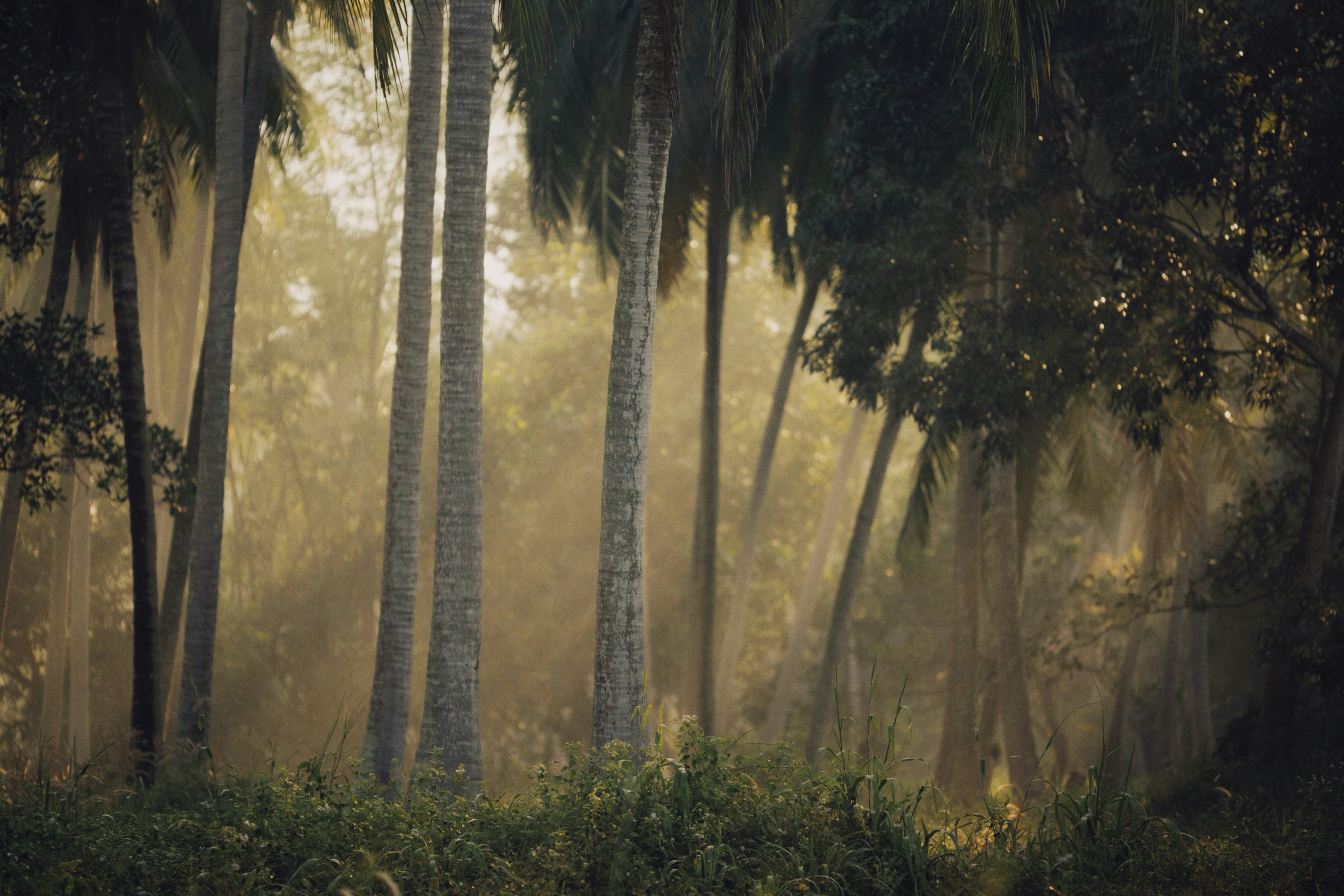 Photo by alexeydemidov