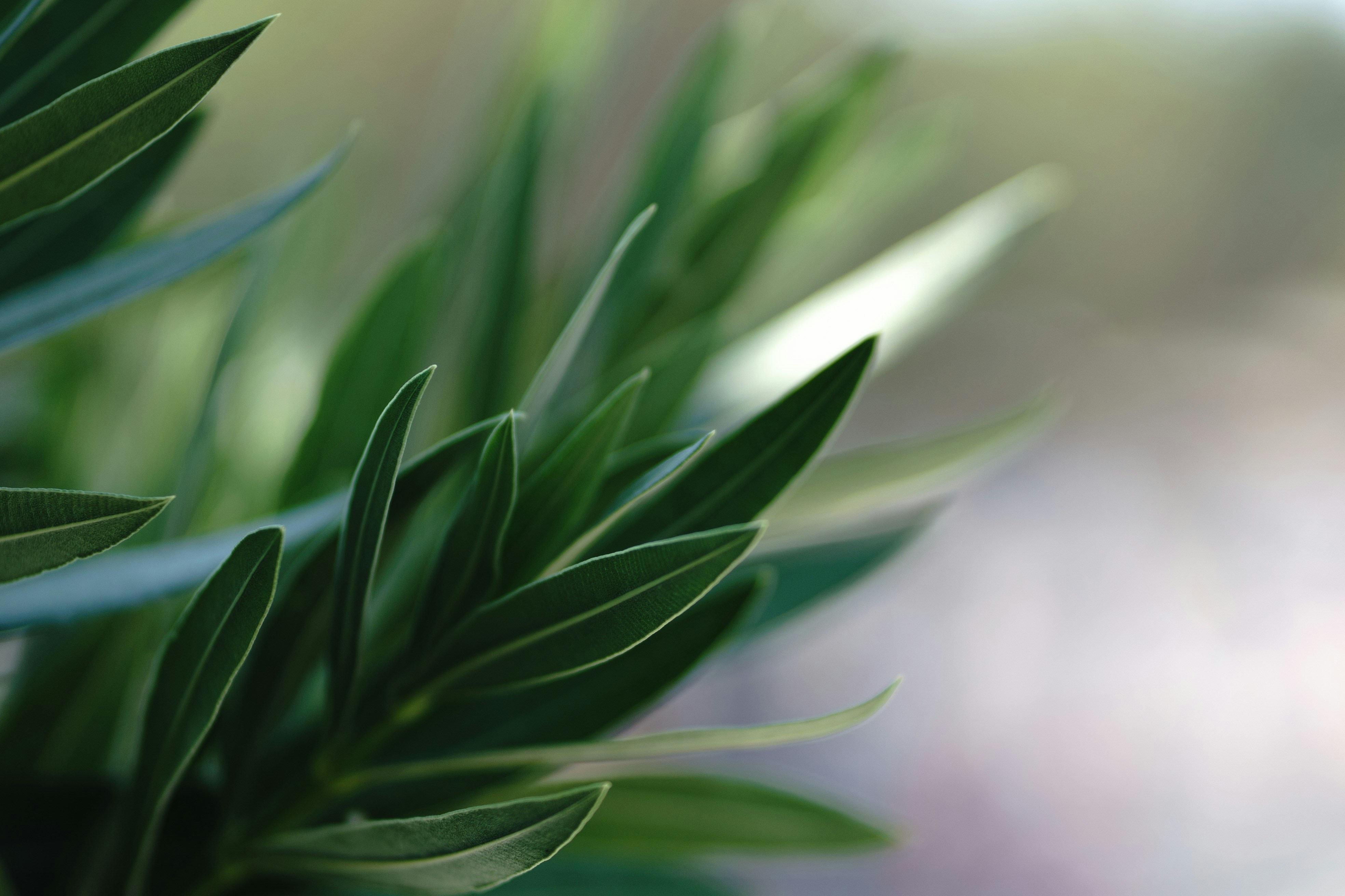 Photo by eugenechystiakov