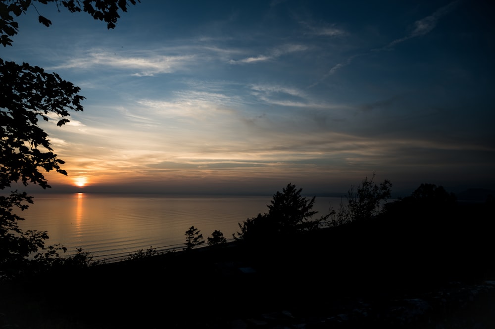 silhouette of trees near body of water during sunset