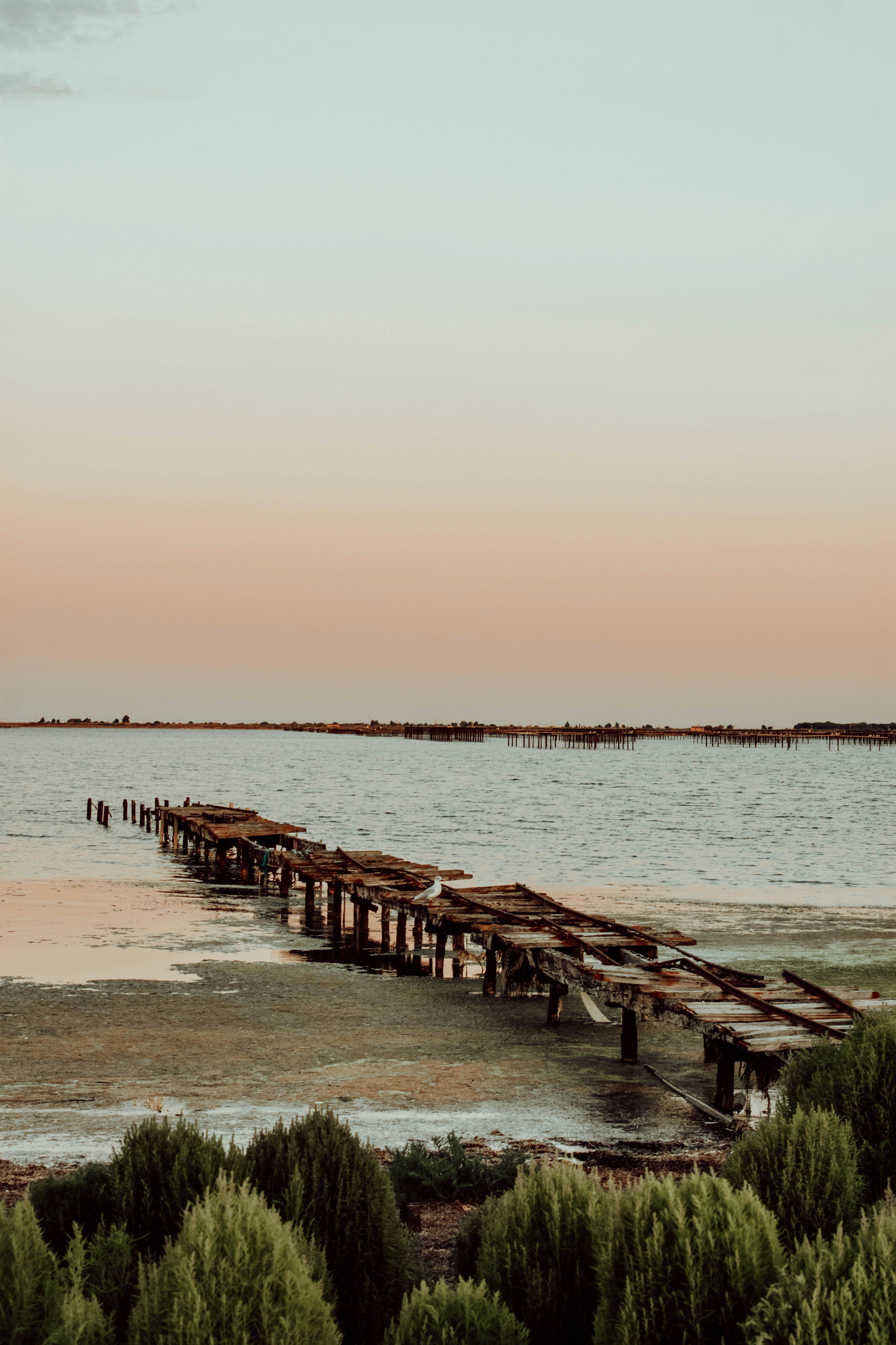 Photo by josefine_mas