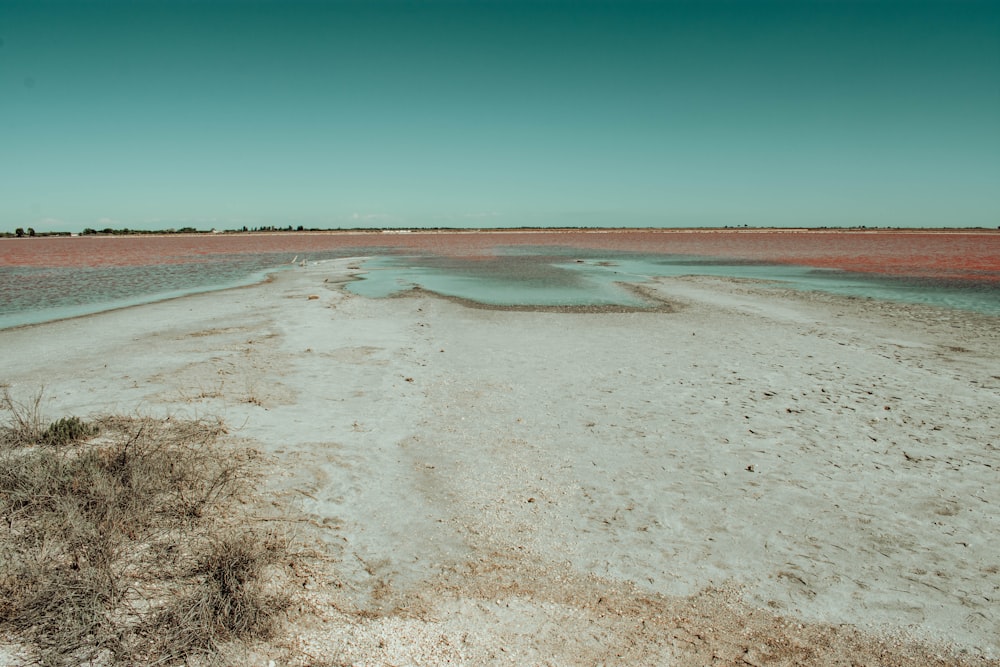 brown sand near body of water during daytime