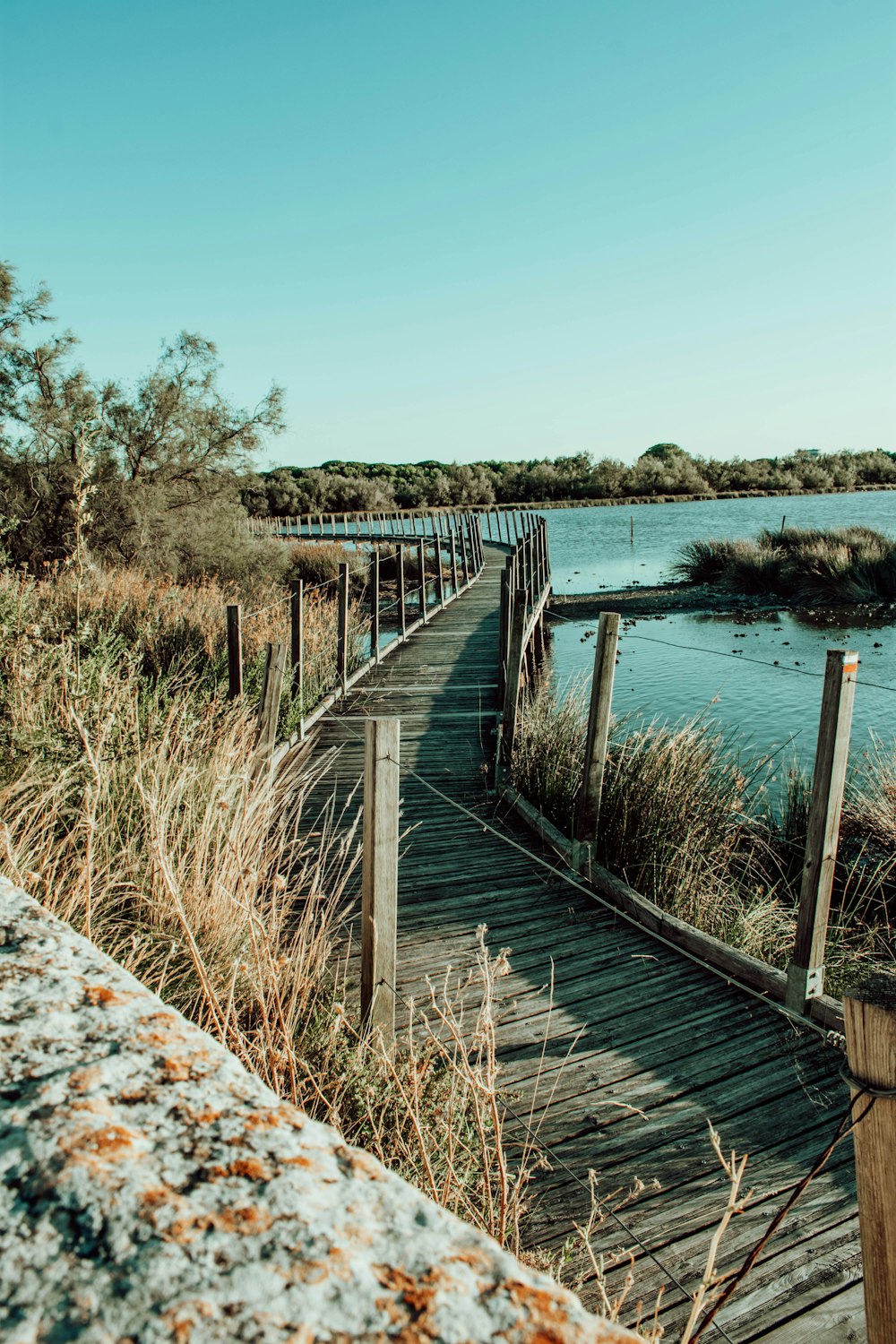 brown wooden dock on lake during daytime