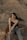 woman in black tank top and blue denim jeans sitting on brown rock