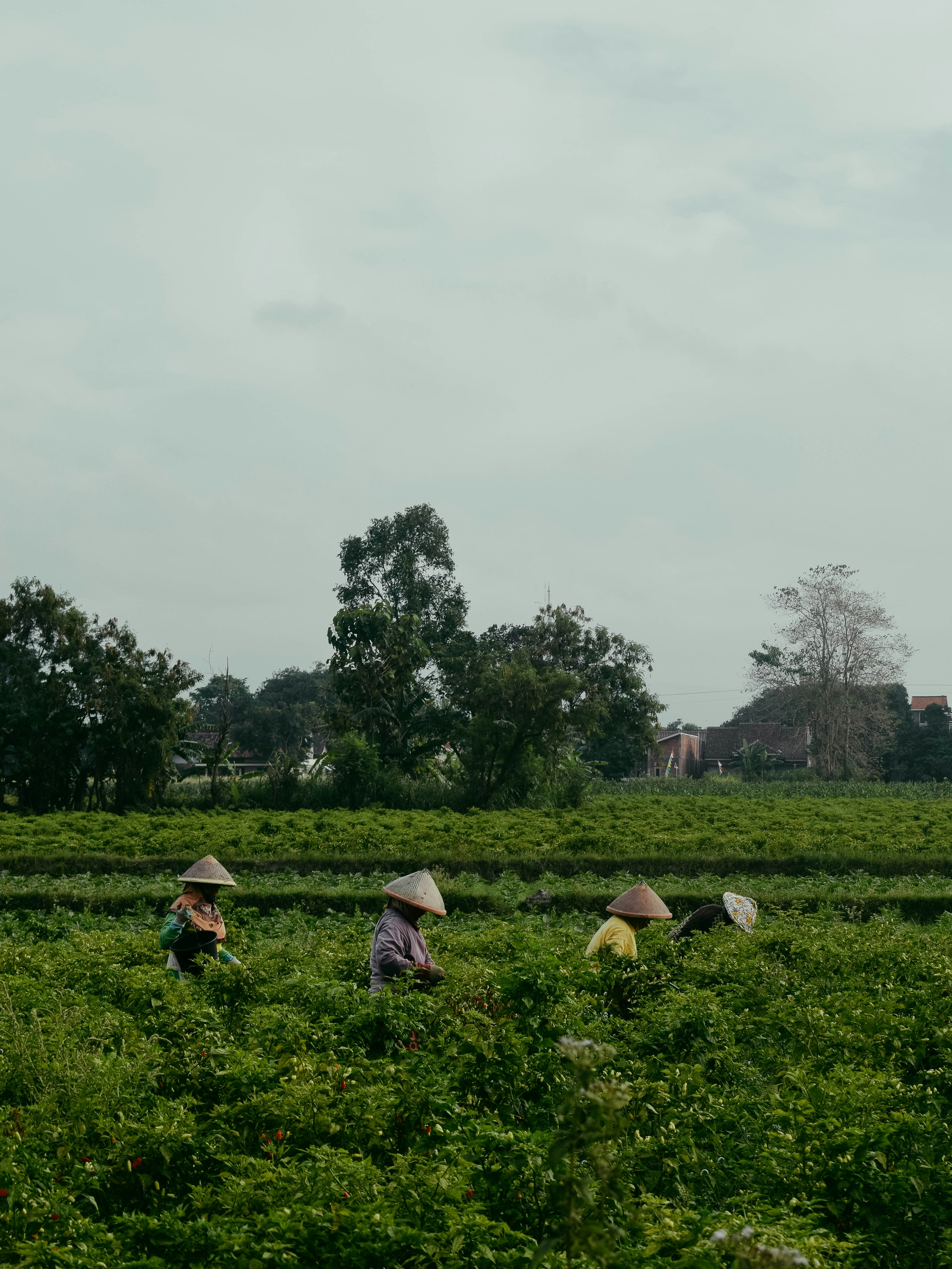 people sitting on green grass field during daytime