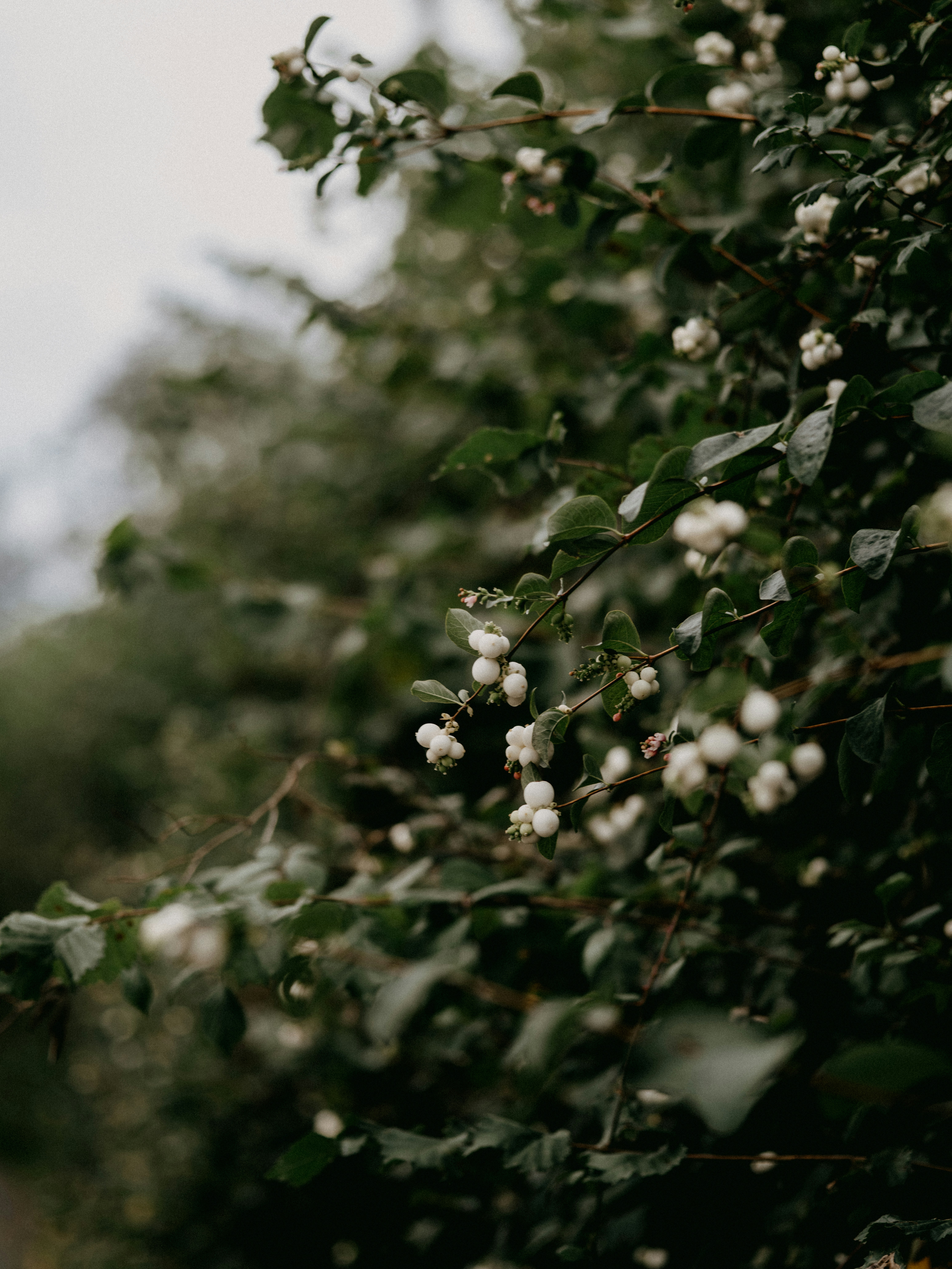 Photo by anniespratt