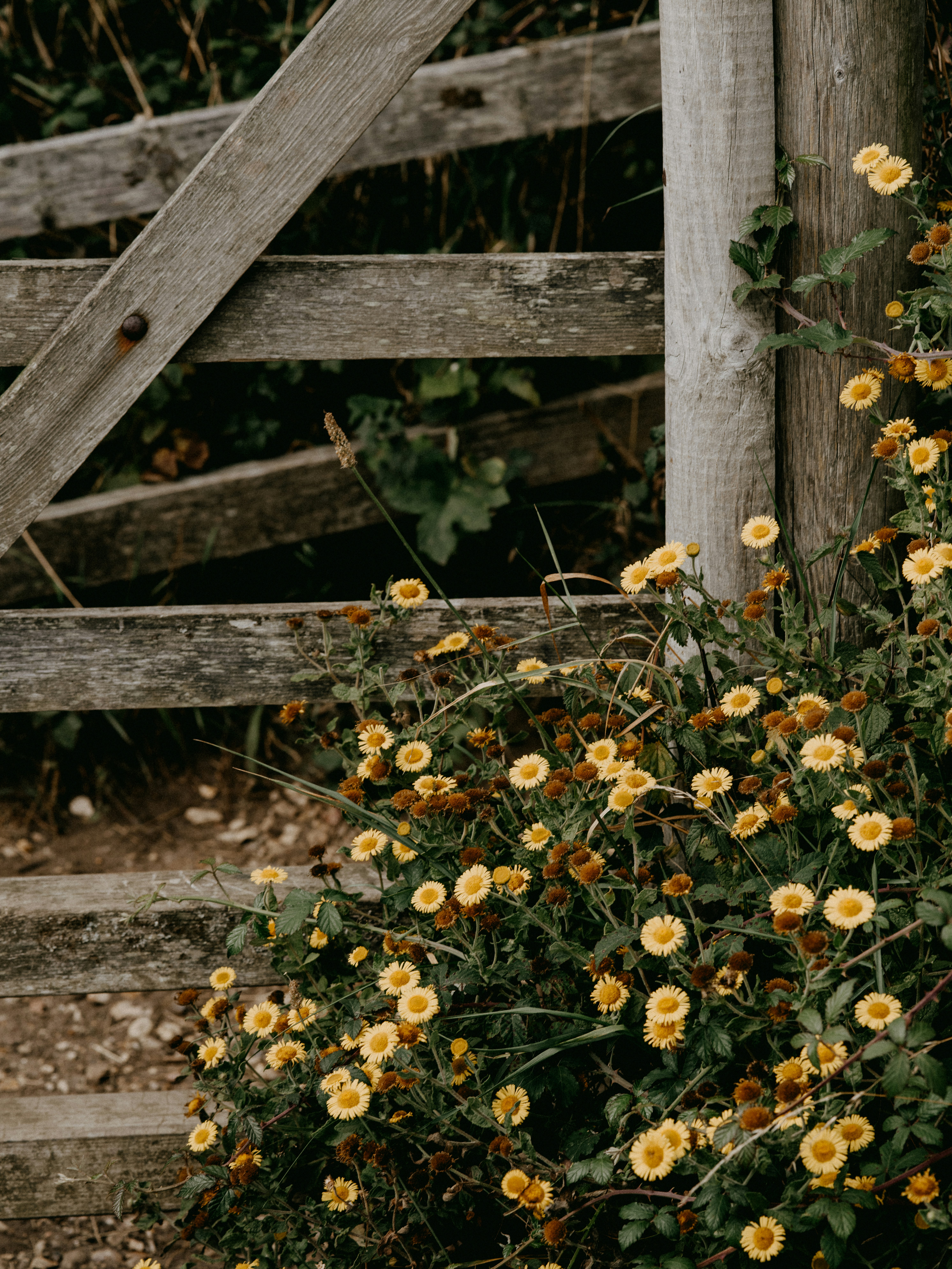 Photo by anniespratt