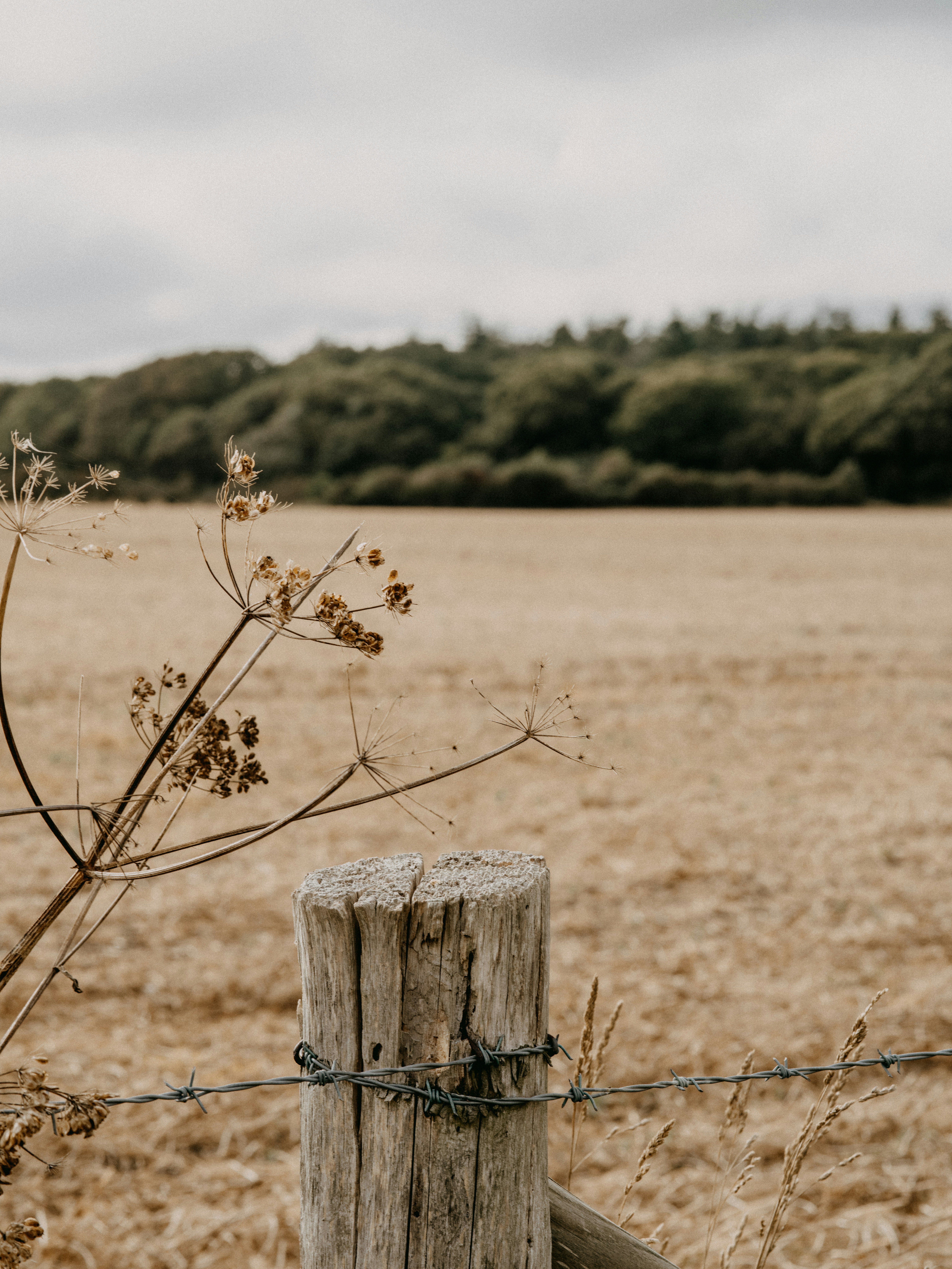 Photo by anniespratt