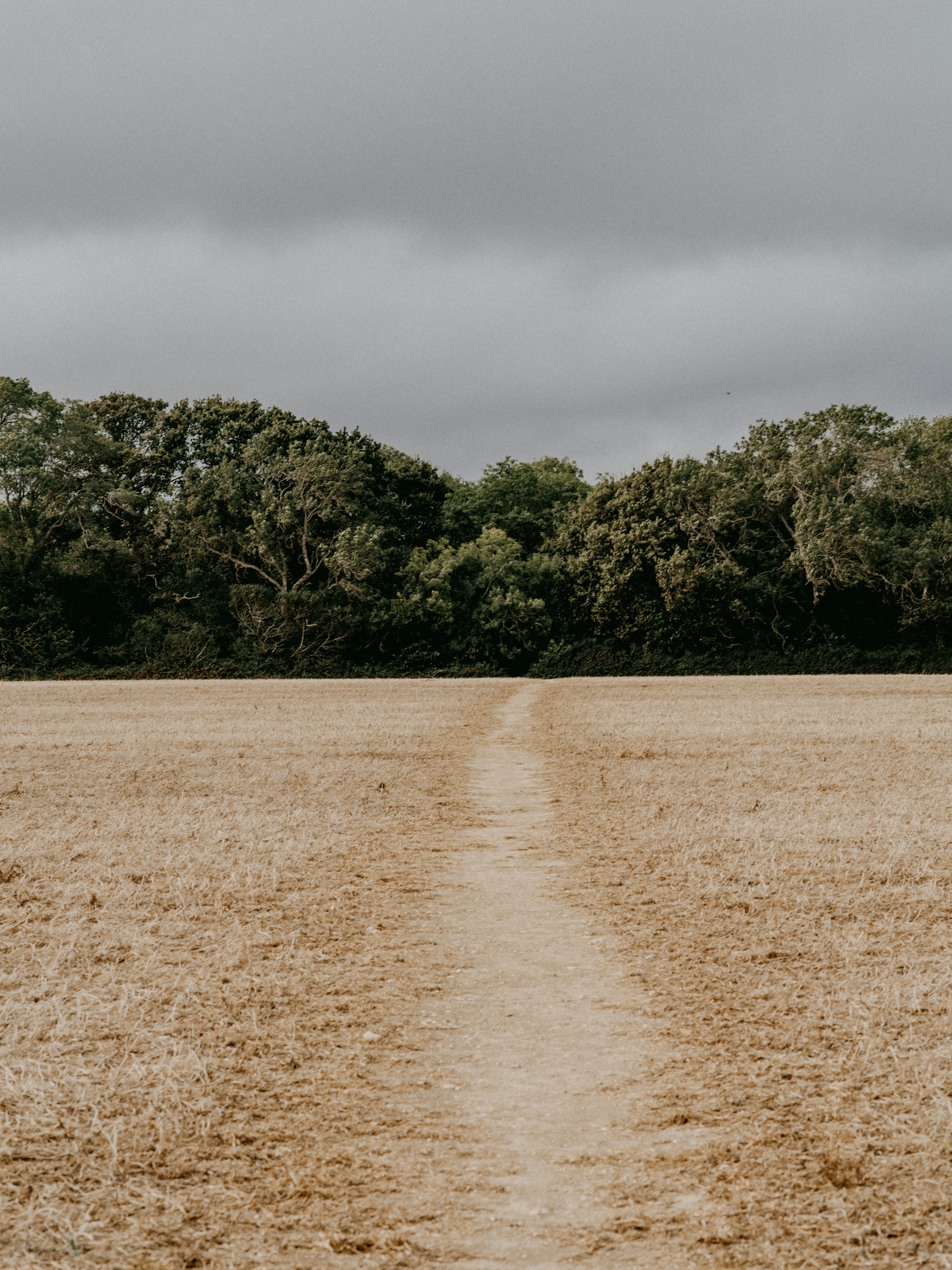 Photo by anniespratt