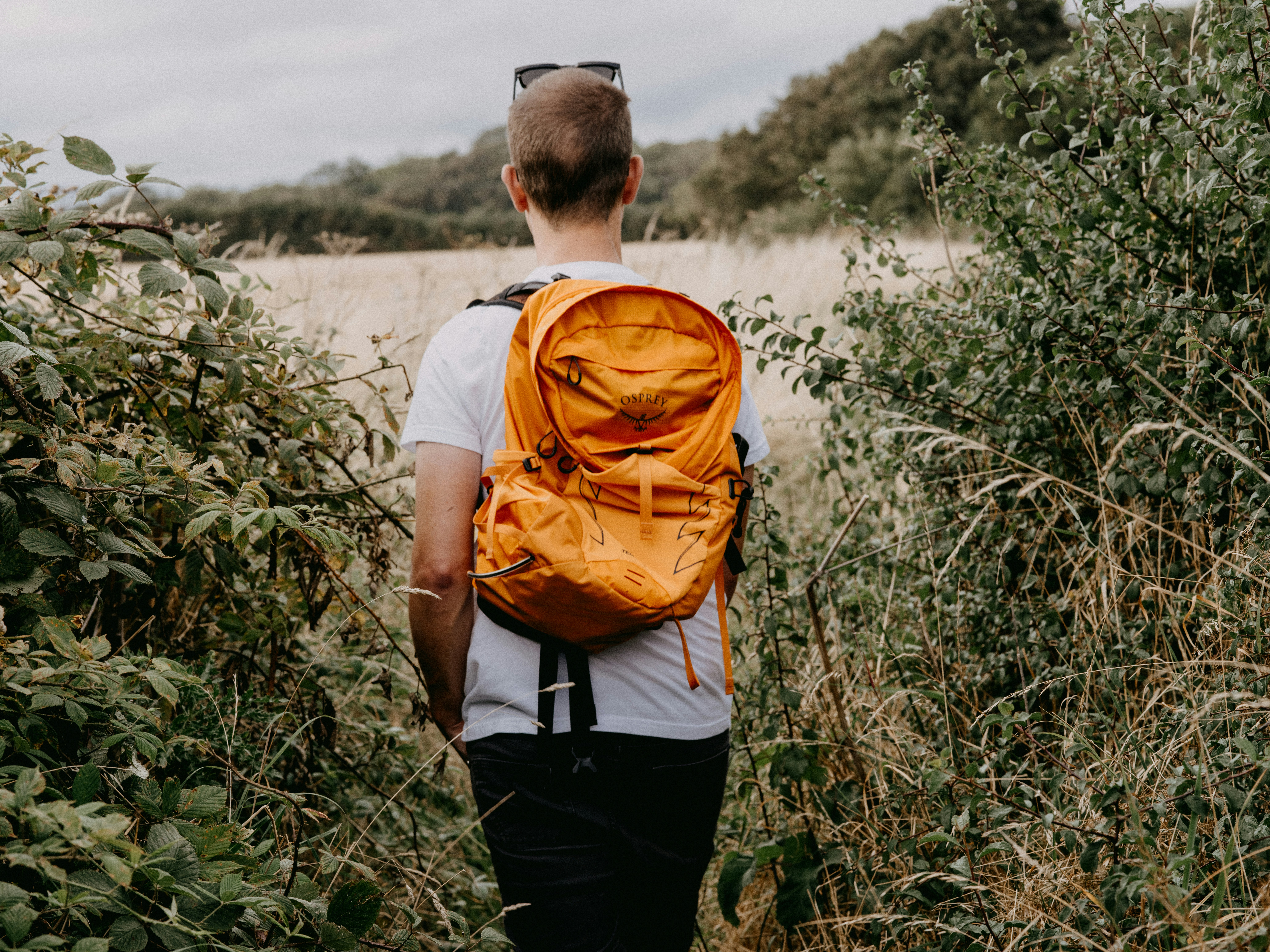 Photo by anniespratt