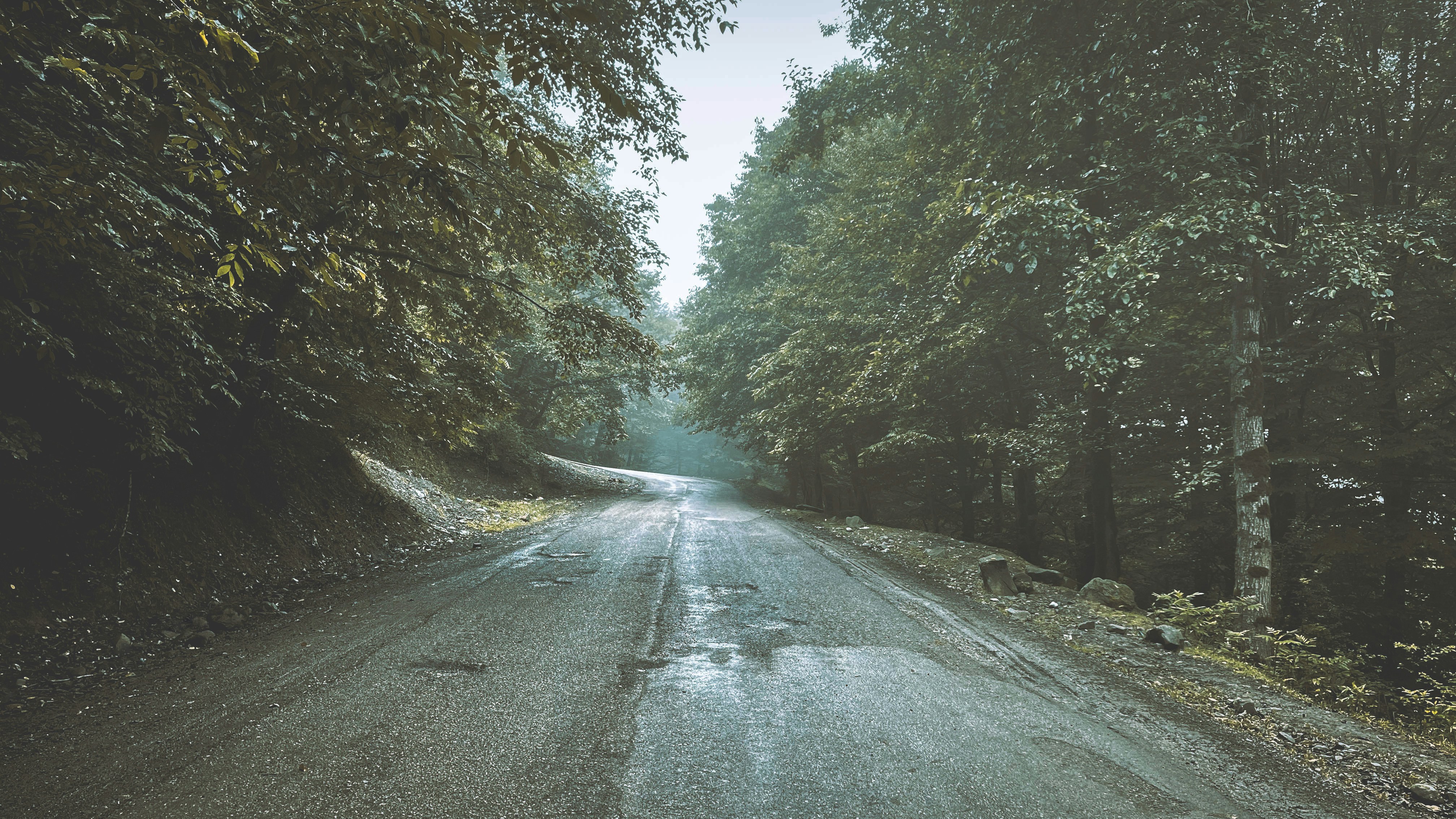 Photo by saeed_mandegar