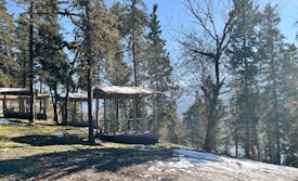Wooden gazebos are situated among tall trees in a serene forest setting. Patches of snow are scattered on the ground, with sunlight filtering through the branches, casting gentle shadows.