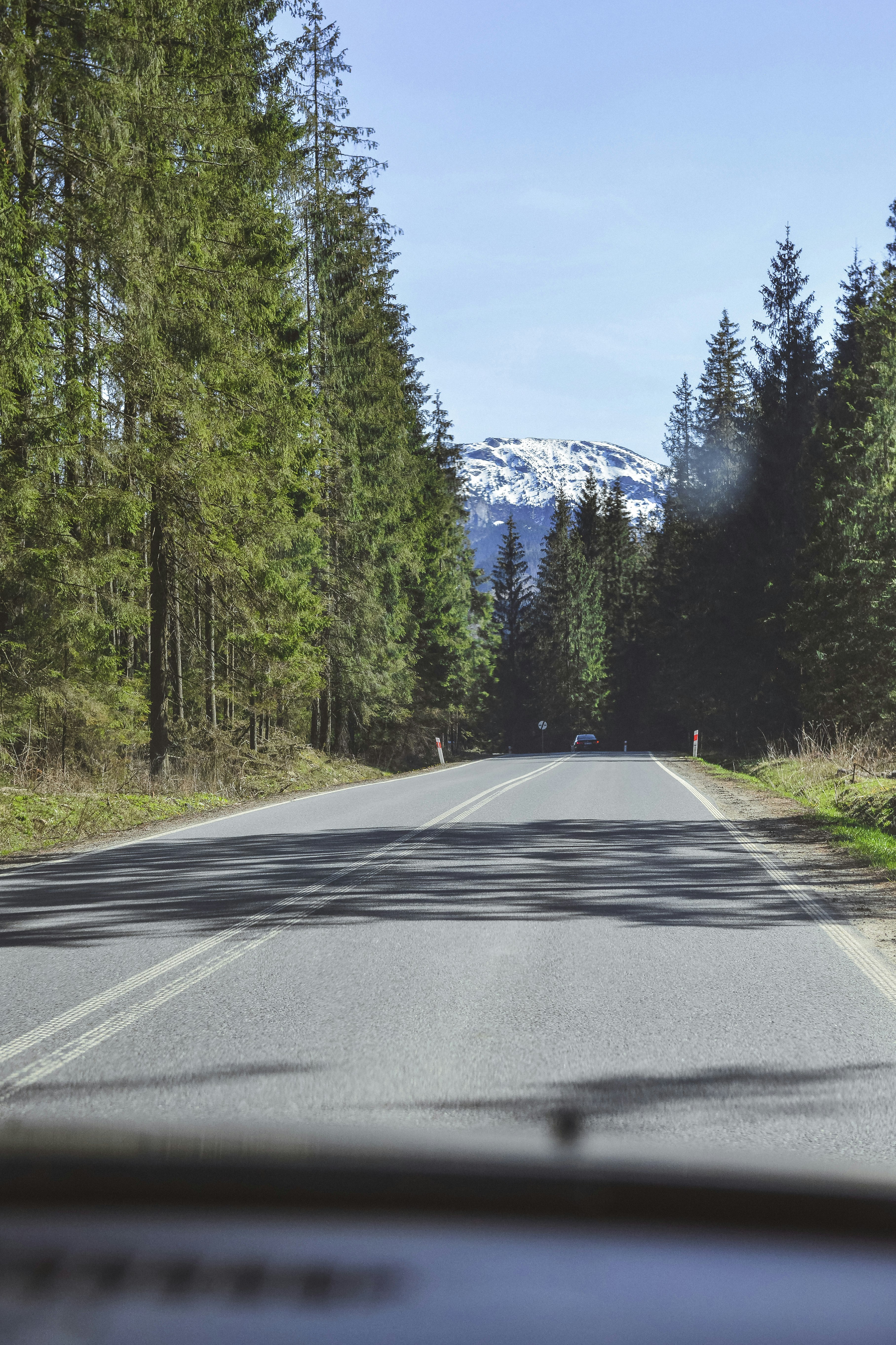 gray concrete road between green trees under blue sky during daytime