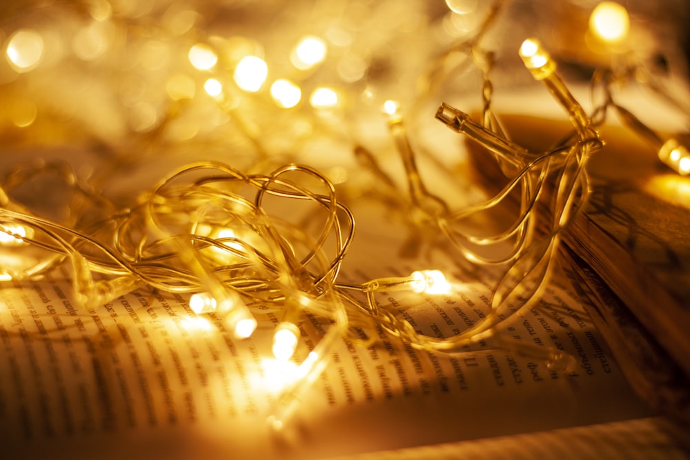 gold string lights on book page