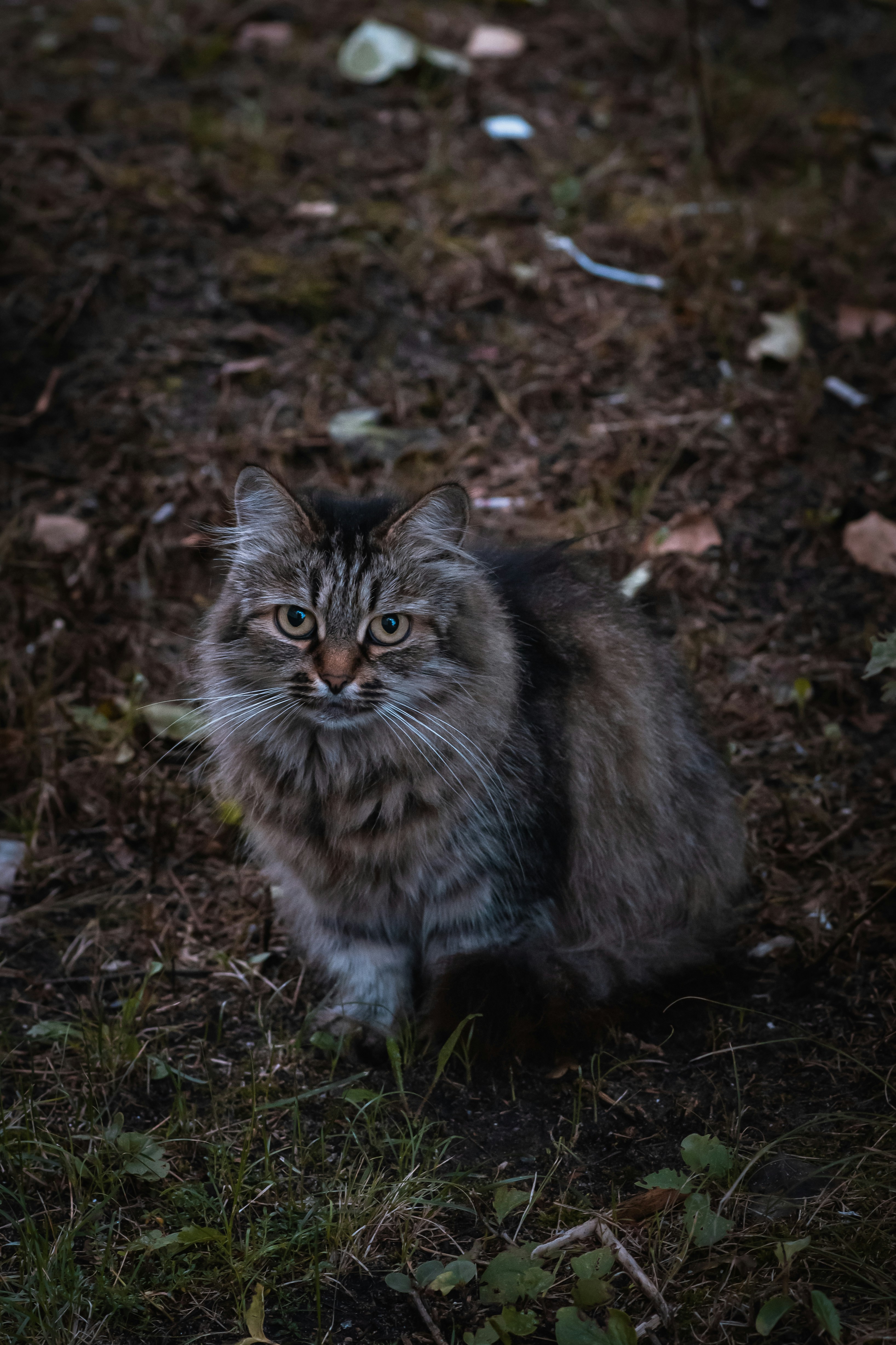 Photo by snatalia1516