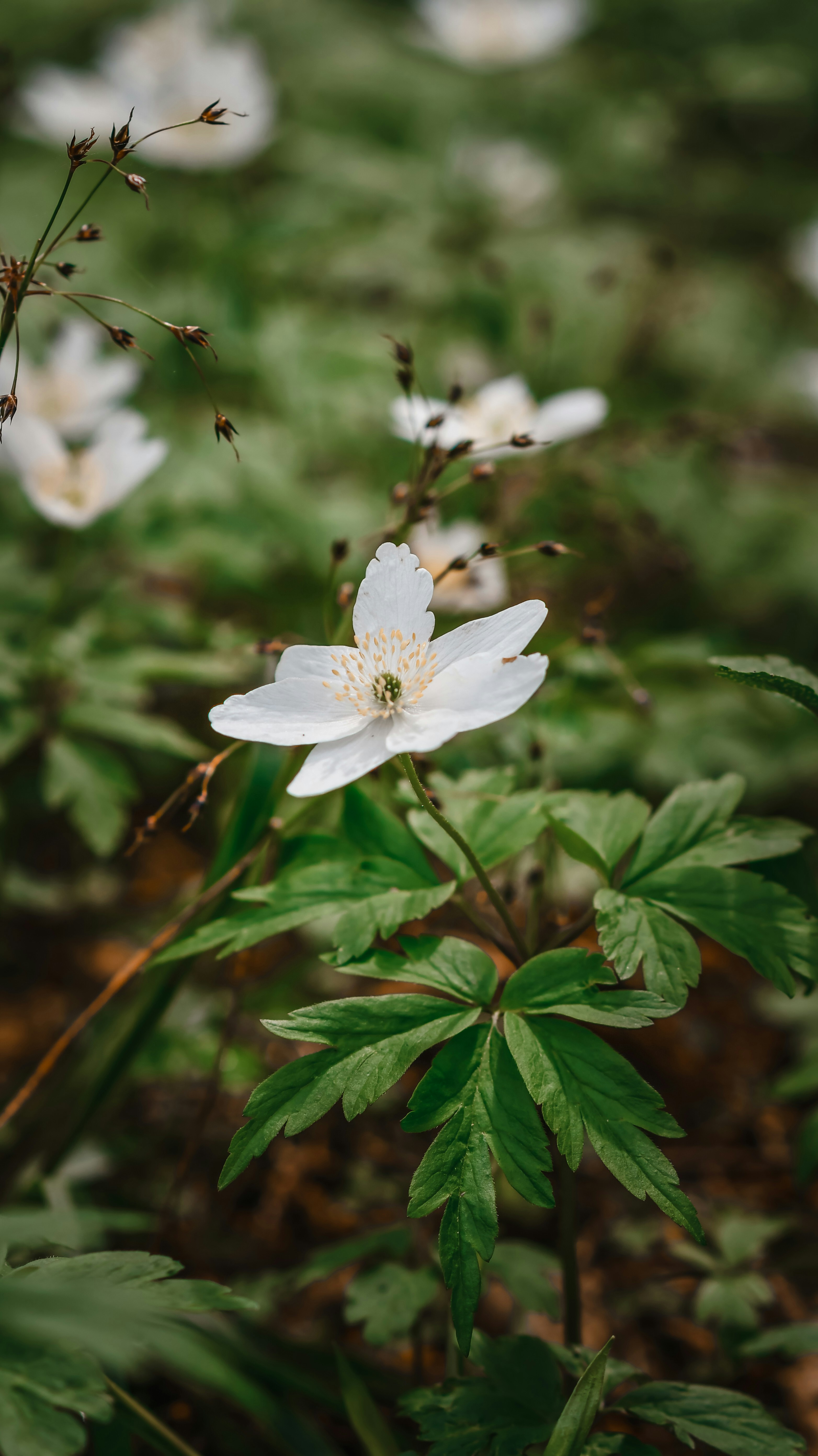 Photo by snatalia1516