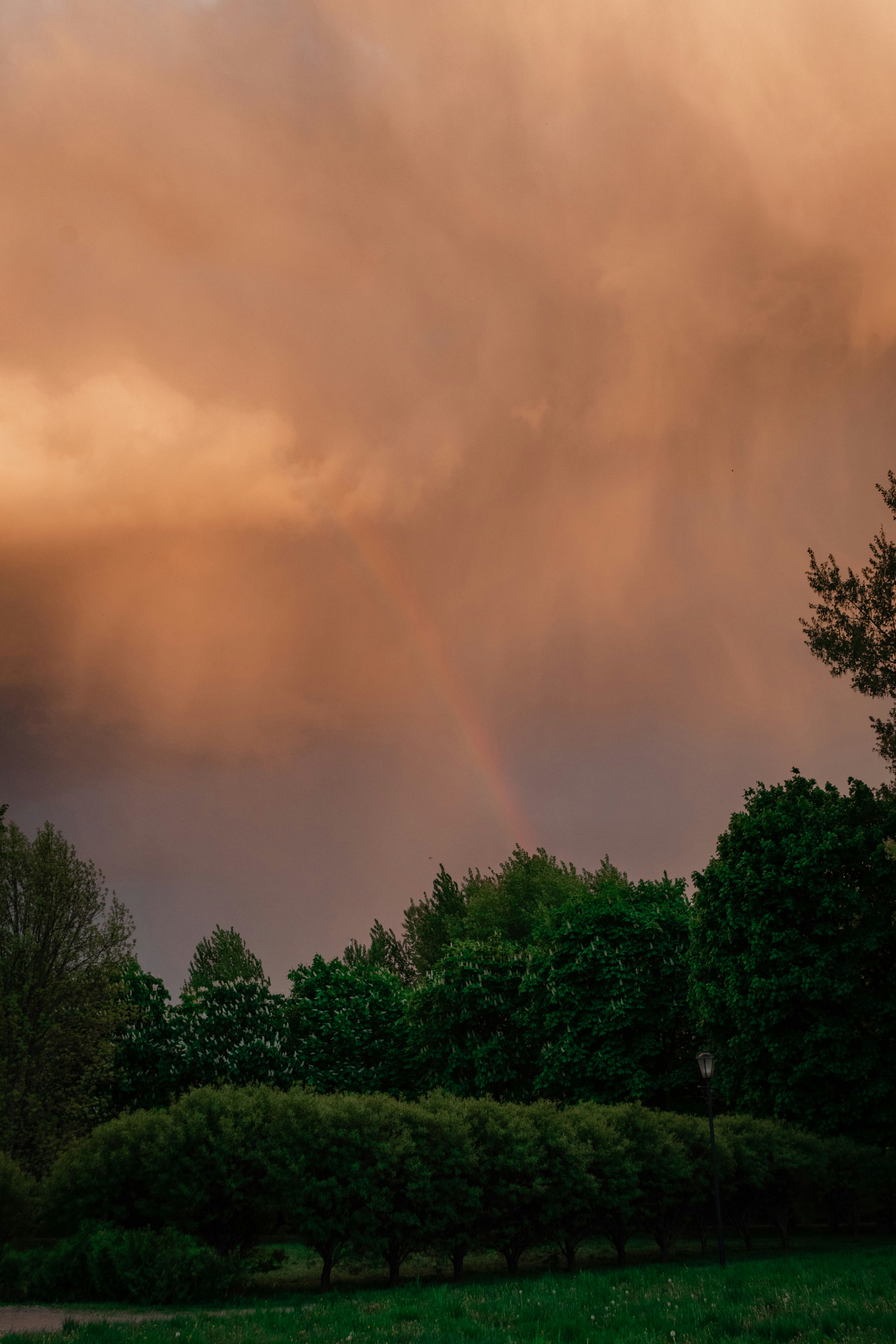 Photo by snatalia1516