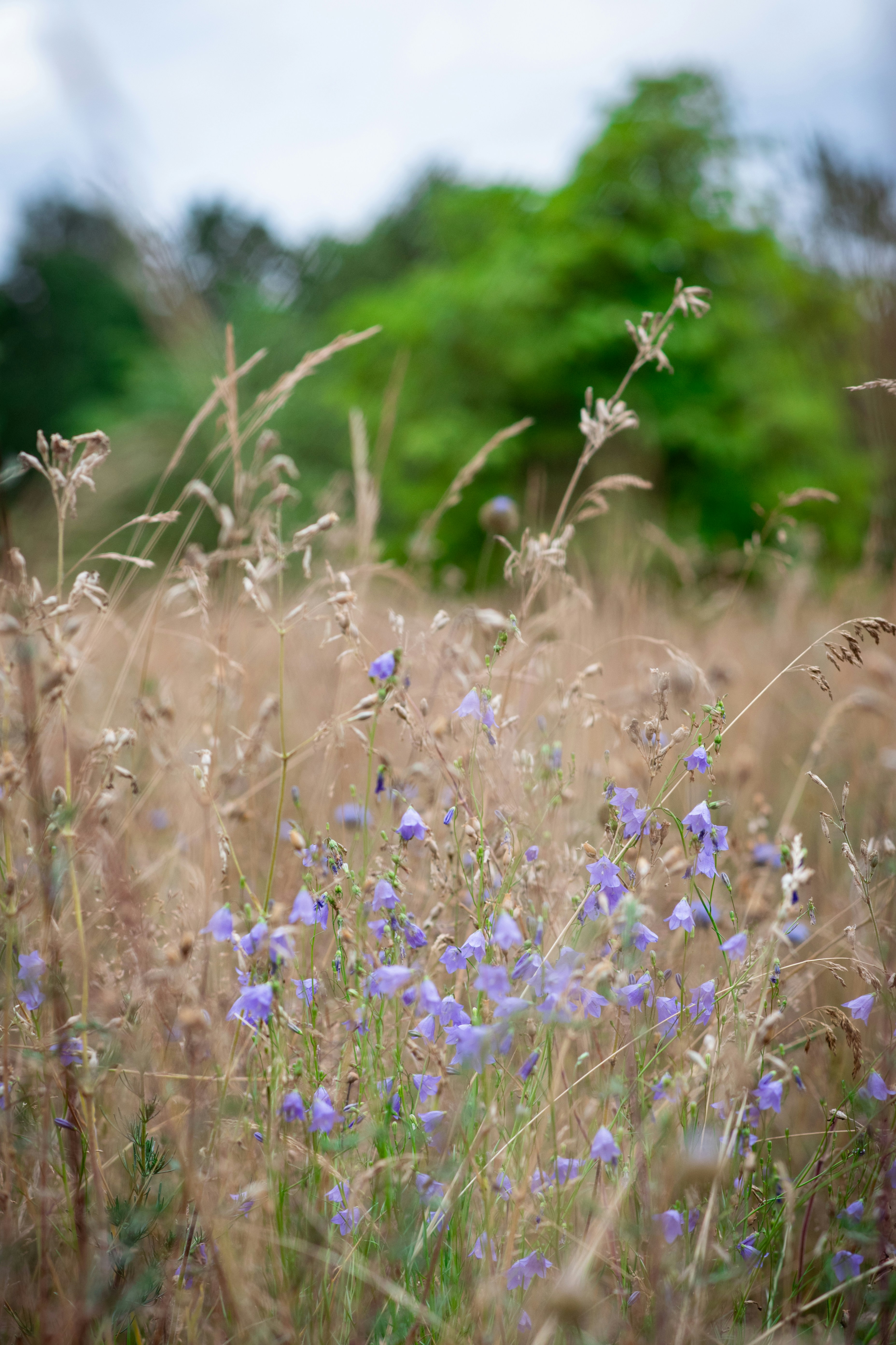 Photo by snatalia1516