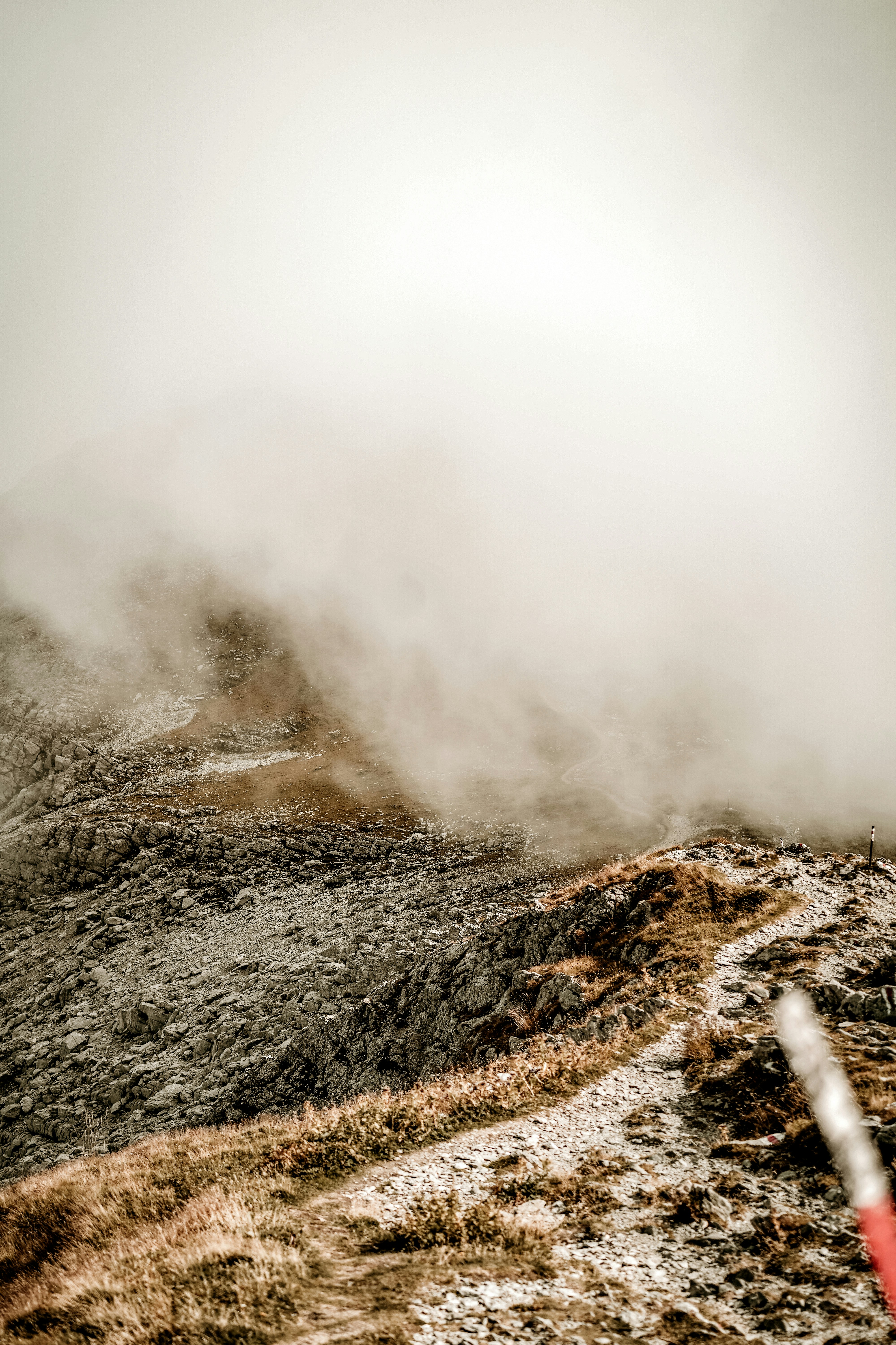 Photo by dubai_love_story