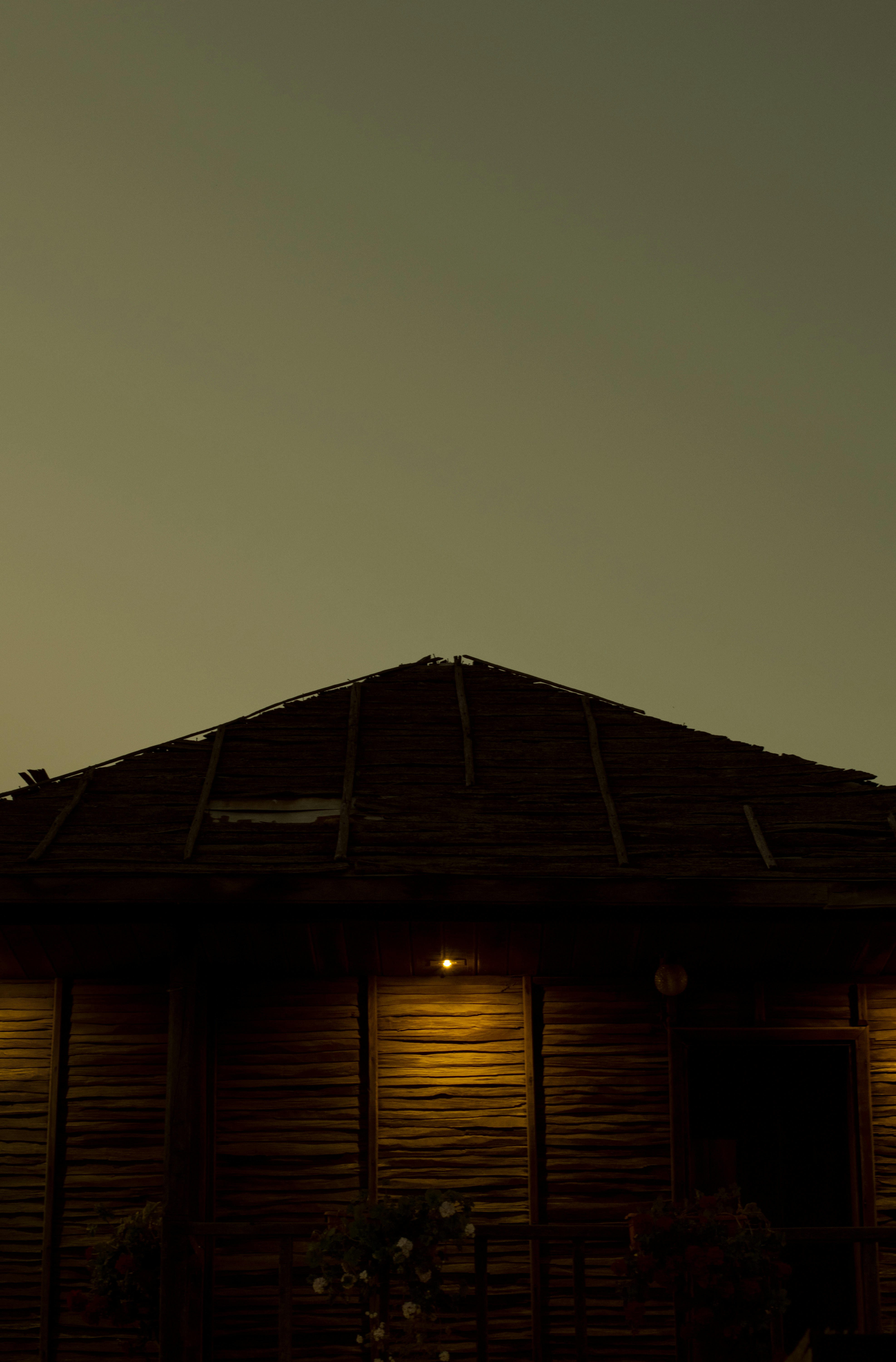 Photo by danielabeleva