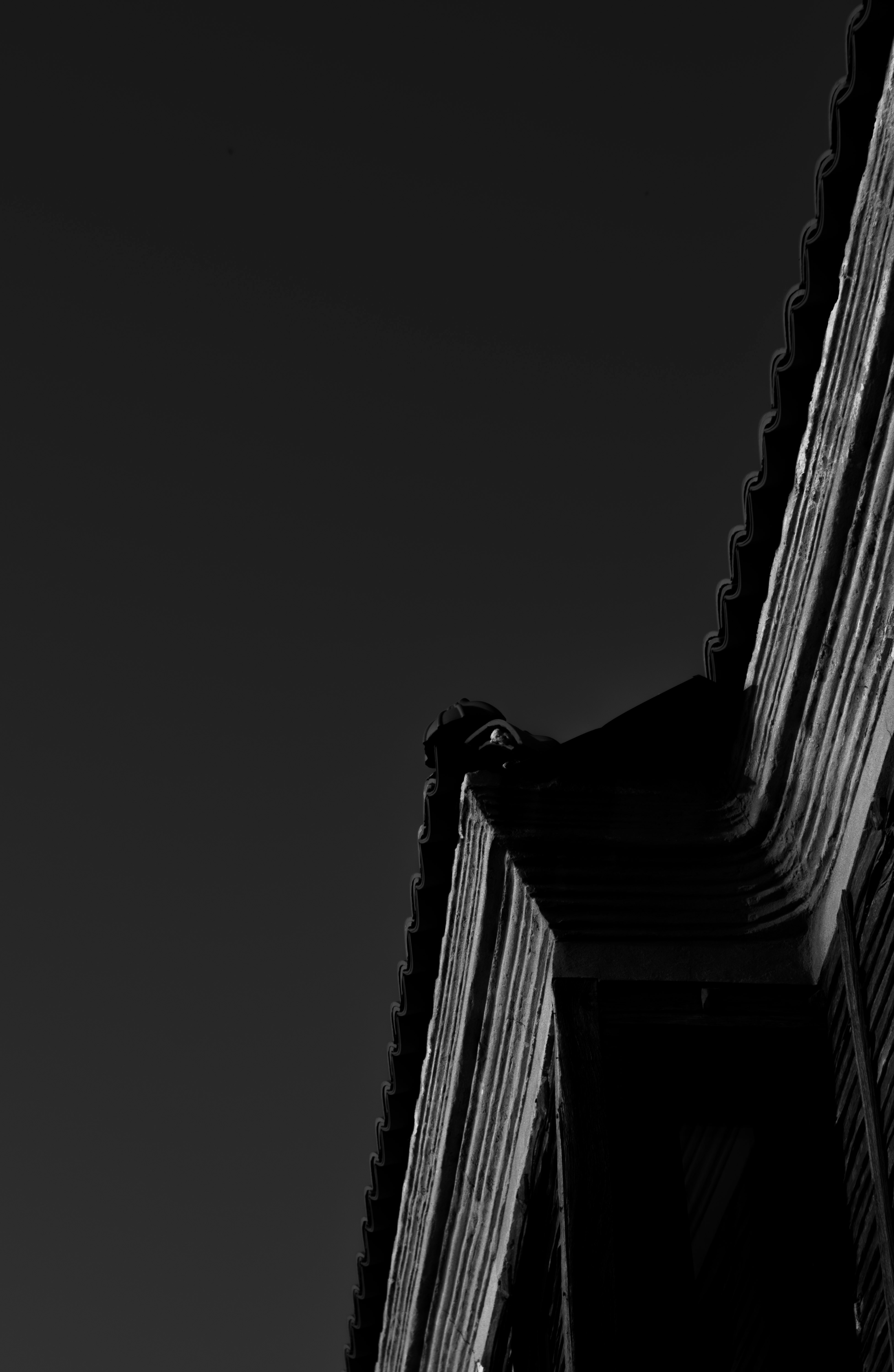 Photo by danielabeleva