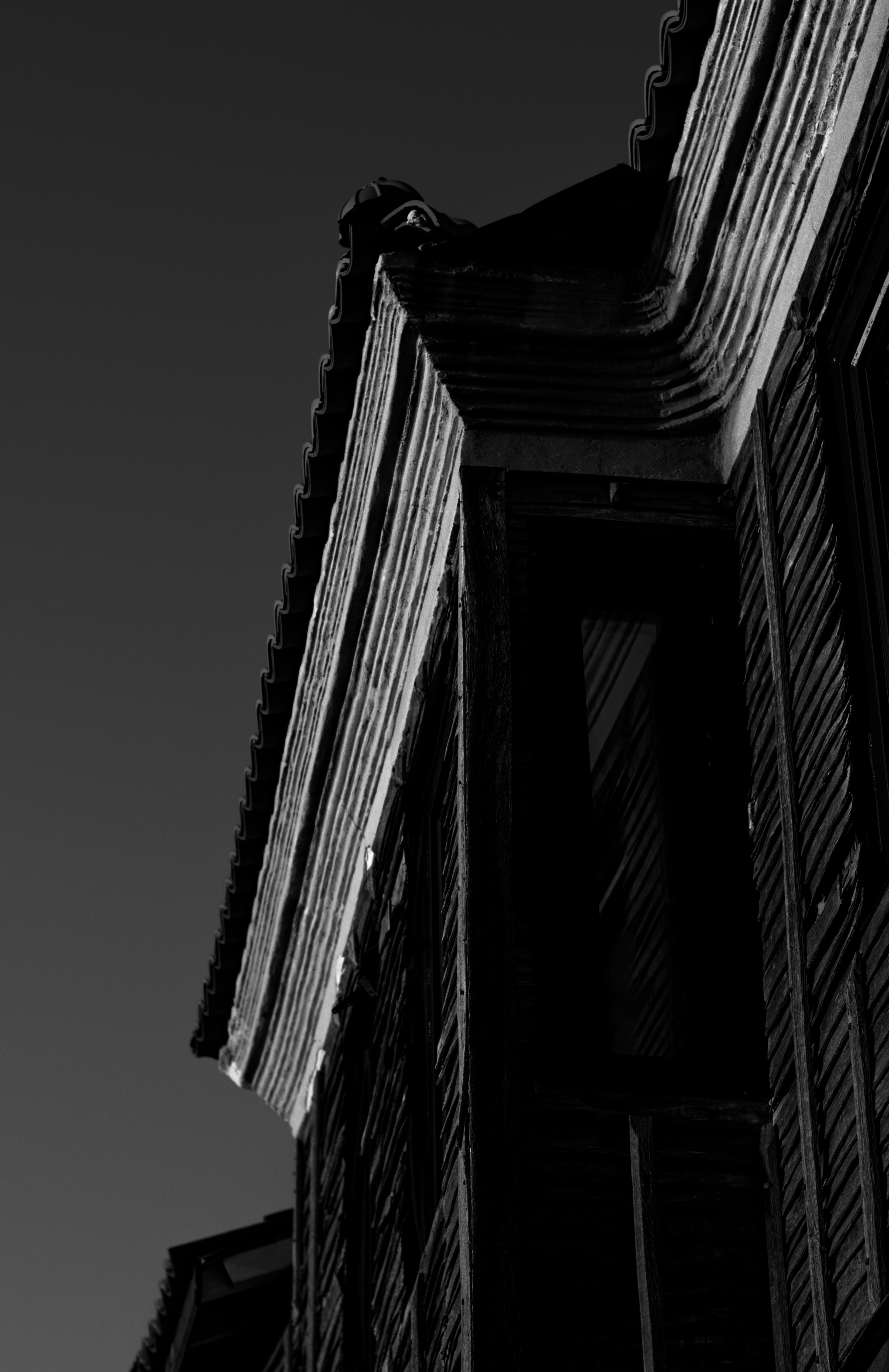 Photo by danielabeleva